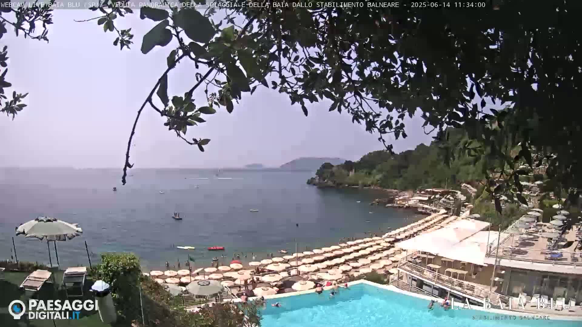 A sunny beach scene with numerous umbrellas and a swimming pool overlooks a calm bay, partially obscured by tree branches.