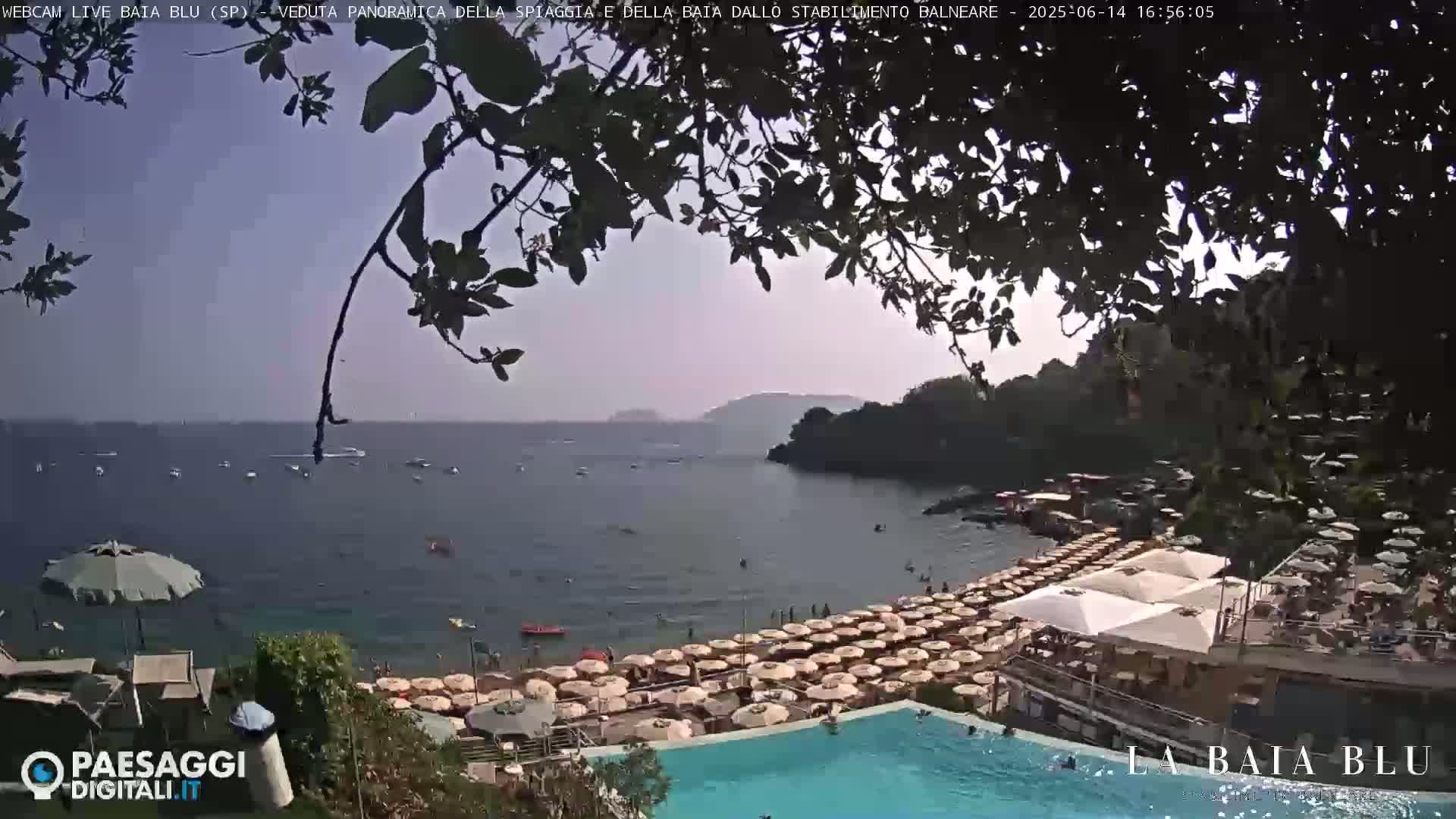 A partly sunny view overlooking a beach with numerous umbrellas, a swimming pool, and calm ocean water, partially obscured by tree branches.