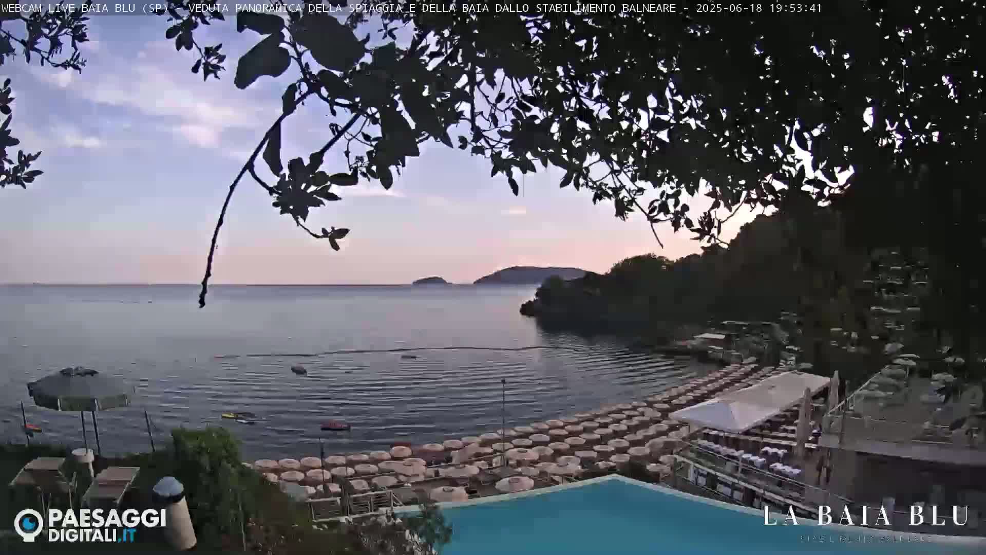 A calm bay with numerous beach umbrellas and a swimming pool is seen at dusk, partially obscured by tree branches.