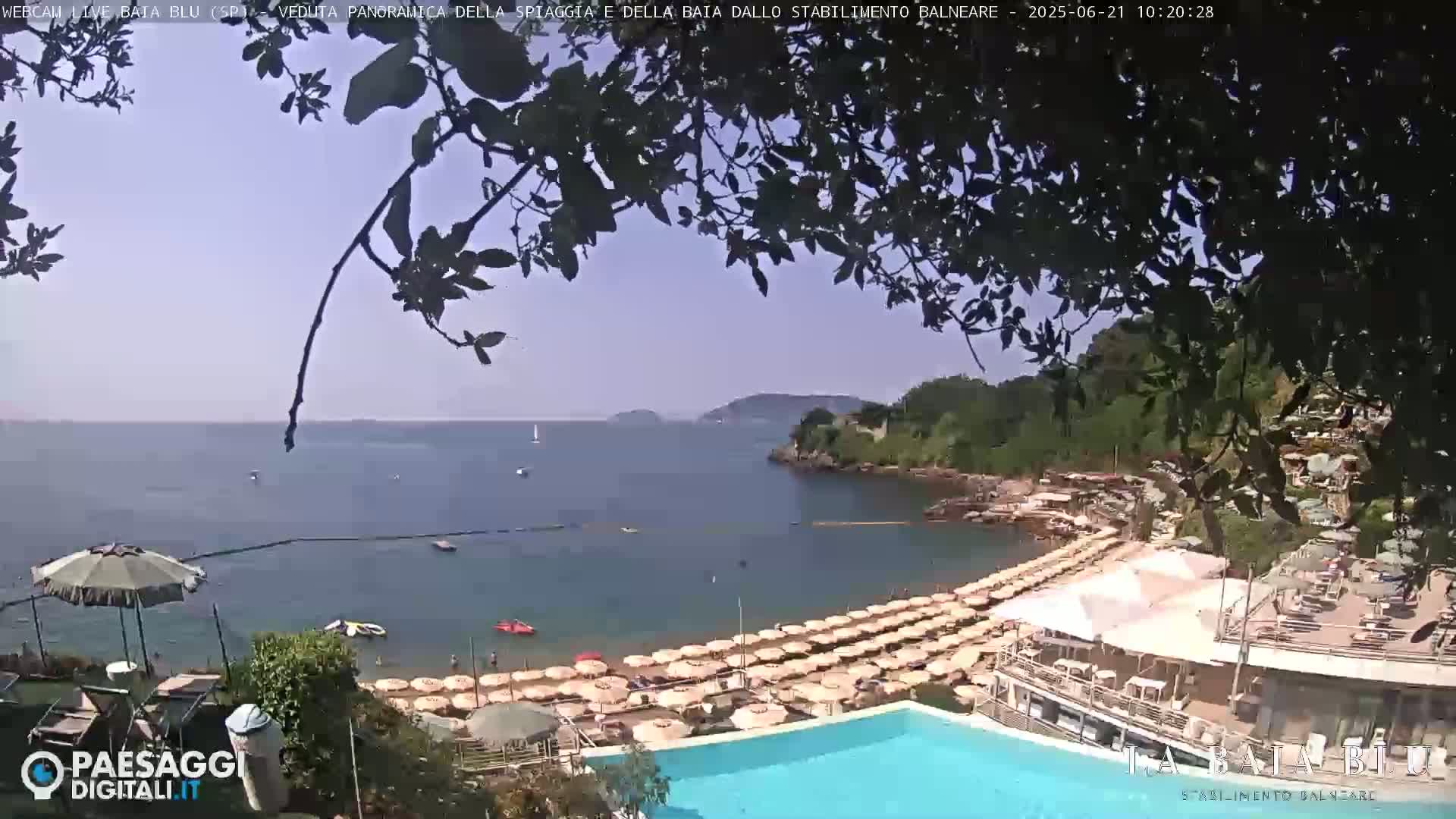 A sunny beach with numerous umbrellas and a swimming pool overlooks a calm bay partially obscured by tree branches.