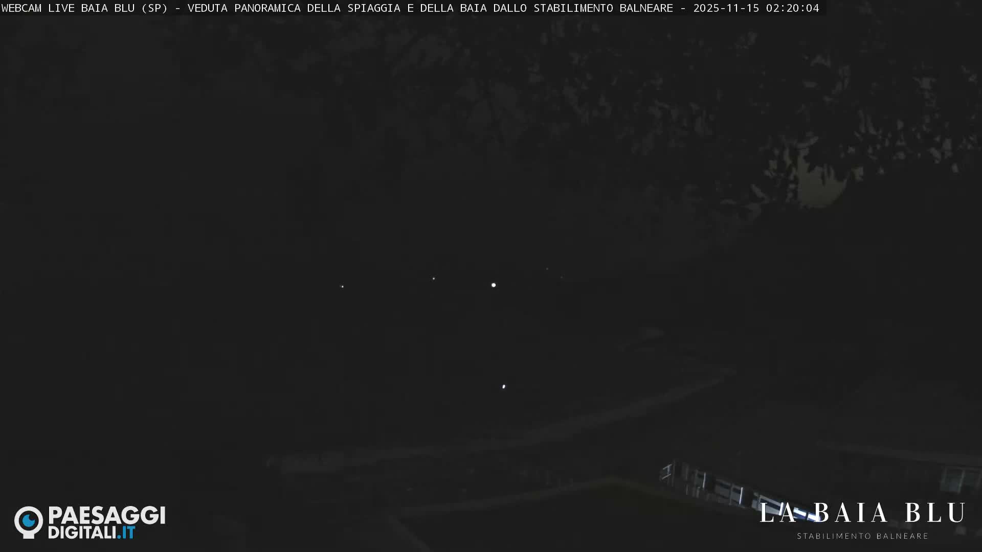 The image displays a very dark outdoor night scene with faint outlines of trees at the top, a few scattered bright lights in the middle distance, and indistinct structures near the bottom right, under a clear sky.