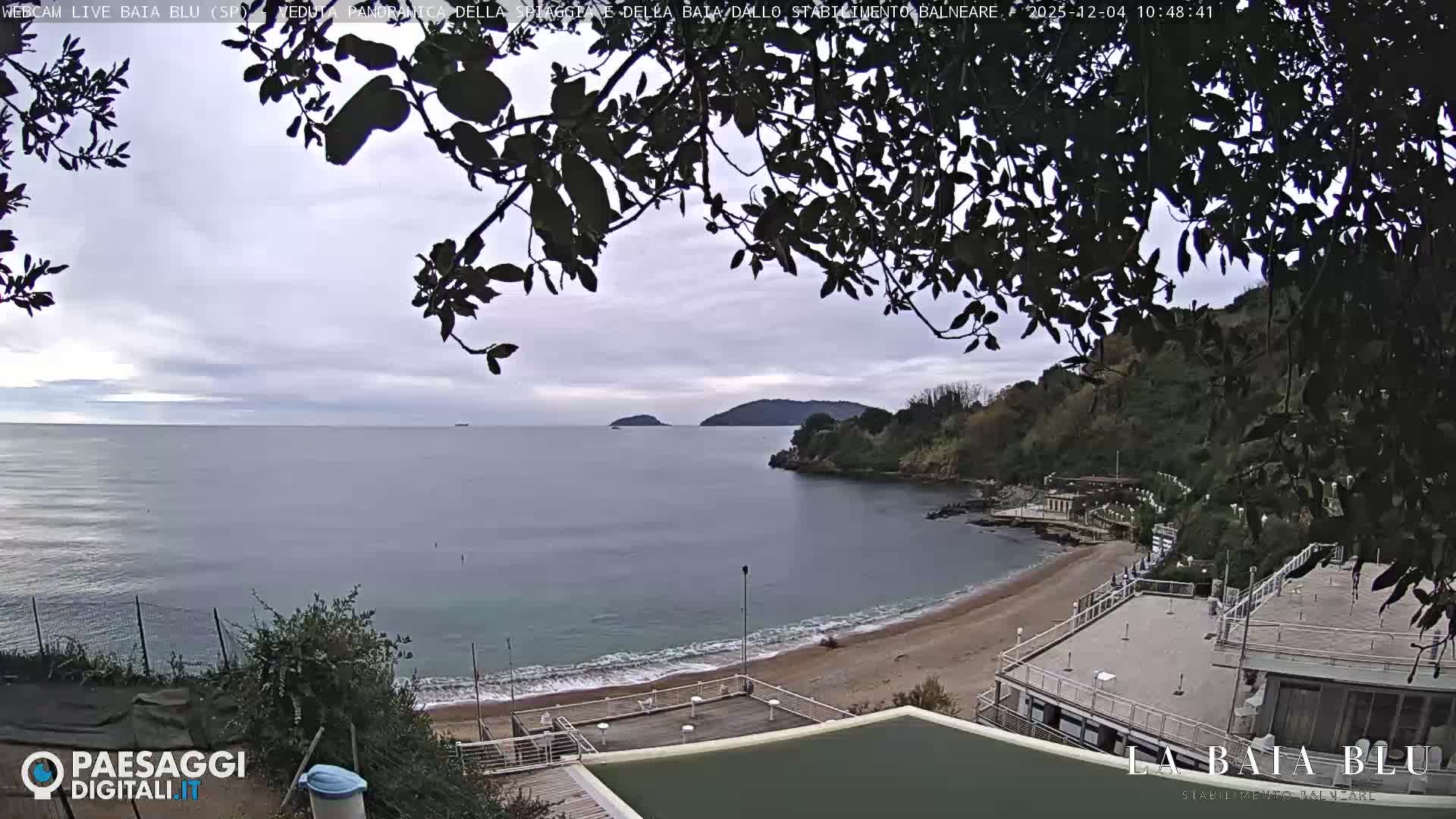 A panoramic view of a cloudy bay reveals a sandy beach with gentle waves, various structures along the shore, and a lush, treelined headland under an overcast sky, all framed by dark silhouetted tree branches.