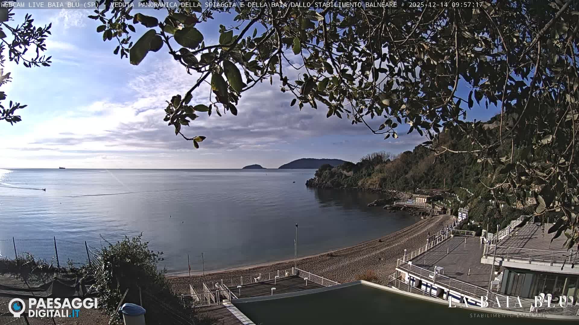 A panoramic view of a cloudy bay reveals a sandy beach with gentle waves, various structures along the shore, and a lush, treelined headland under an overcast sky, all framed by dark silhouetted tree branches.