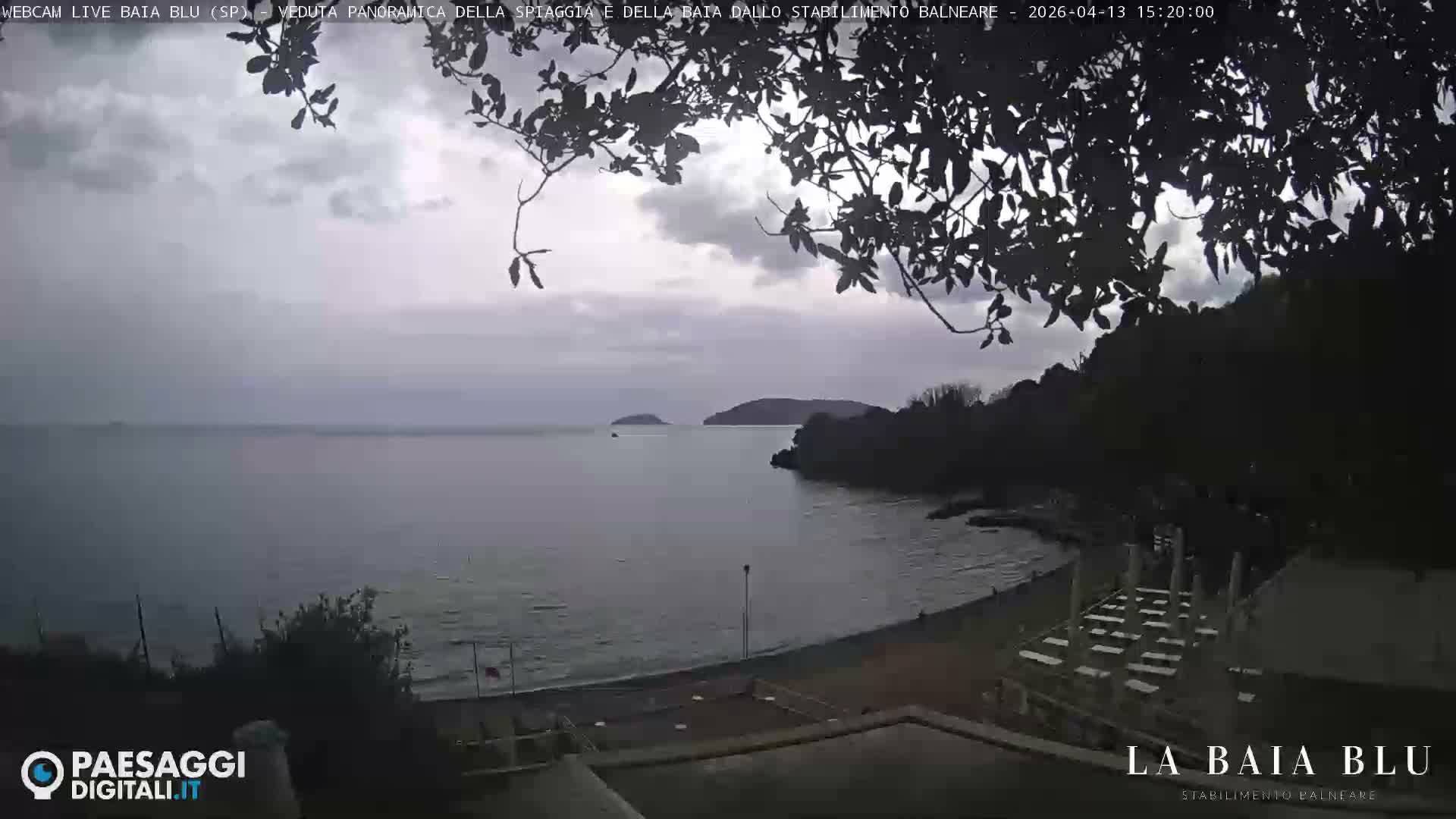A panoramic view of a cloudy bay reveals a sandy beach with gentle waves, various structures along the shore, and a lush, treelined headland under an overcast sky, all framed by dark silhouetted tree branches.