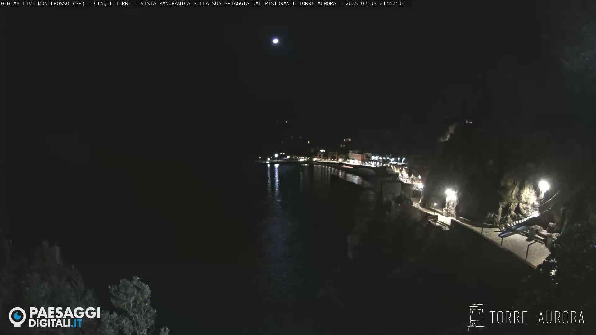 A nighttime, panoramic view of a moonlit coastal town with a dark body of water, illuminated buildings, and a walkway along the shore.