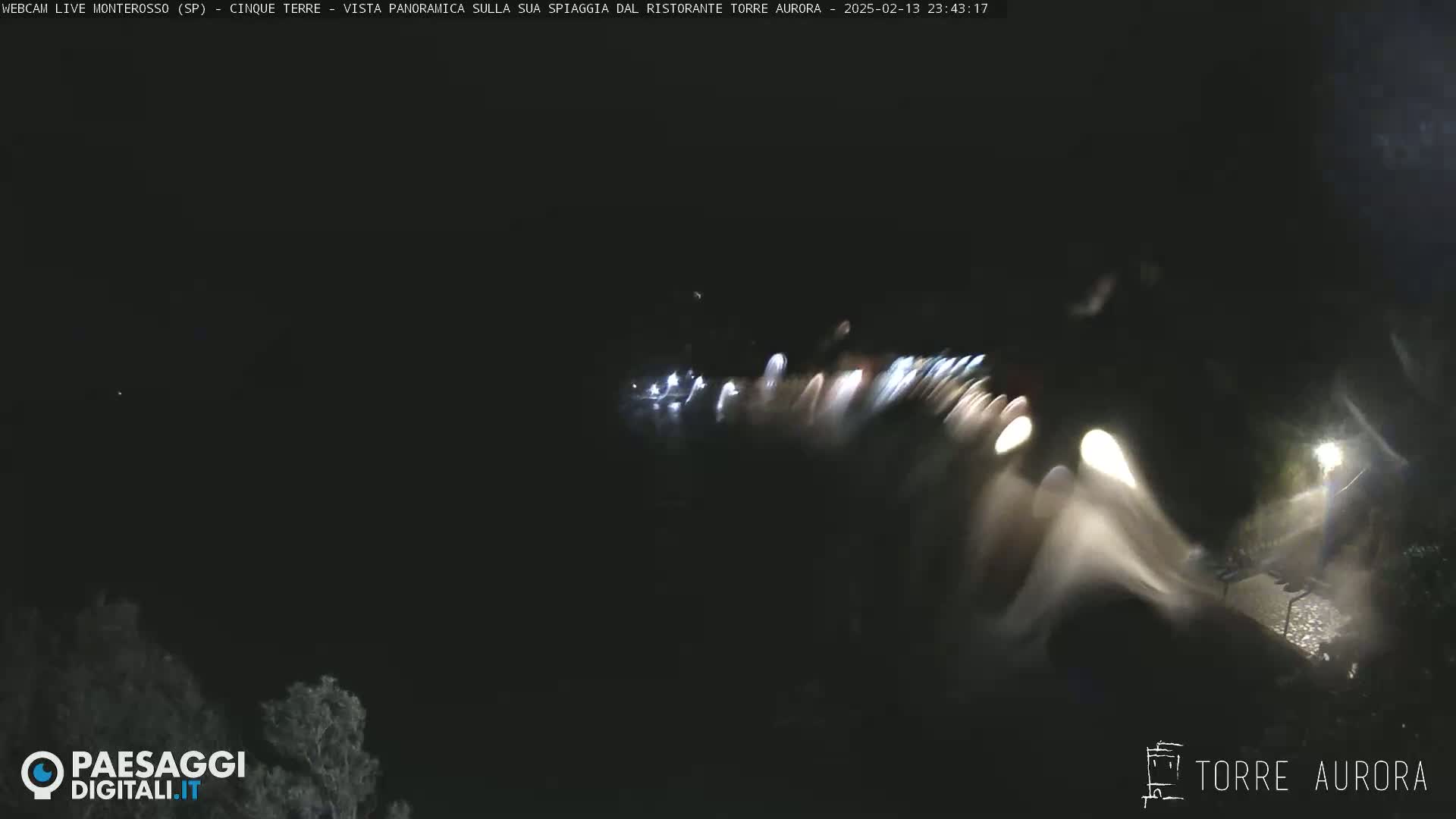 A nighttime, blurry view of lights near a body of water, with dark trees visible in the bottom left corner.