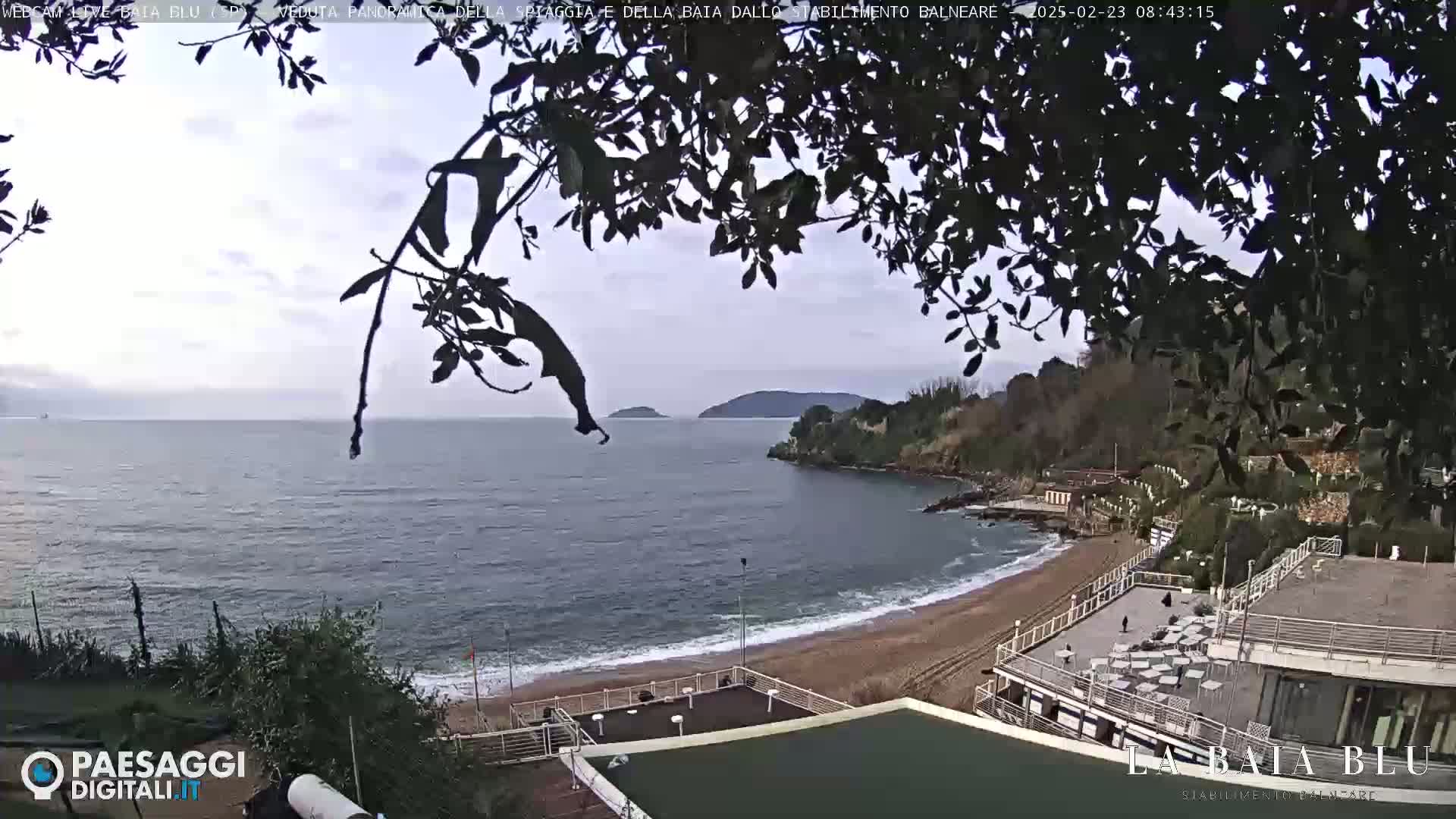 A partly cloudy day overlooking a sandy beach and calm ocean bay, partially obscured by tree branches.