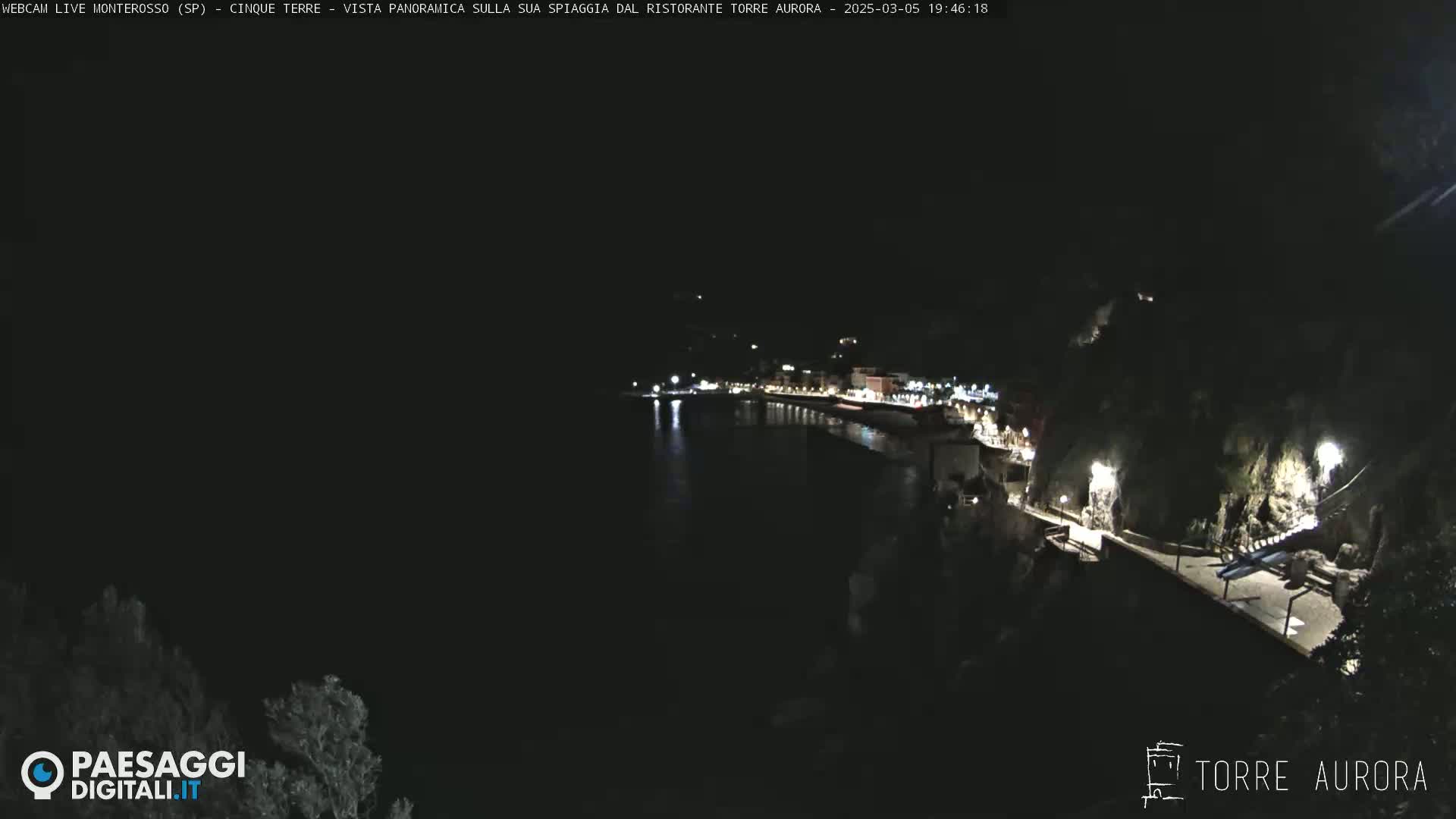 A nighttime, panoramic view of a coastal town with a dark body of water, illuminated buildings, and a cliffside walkway.