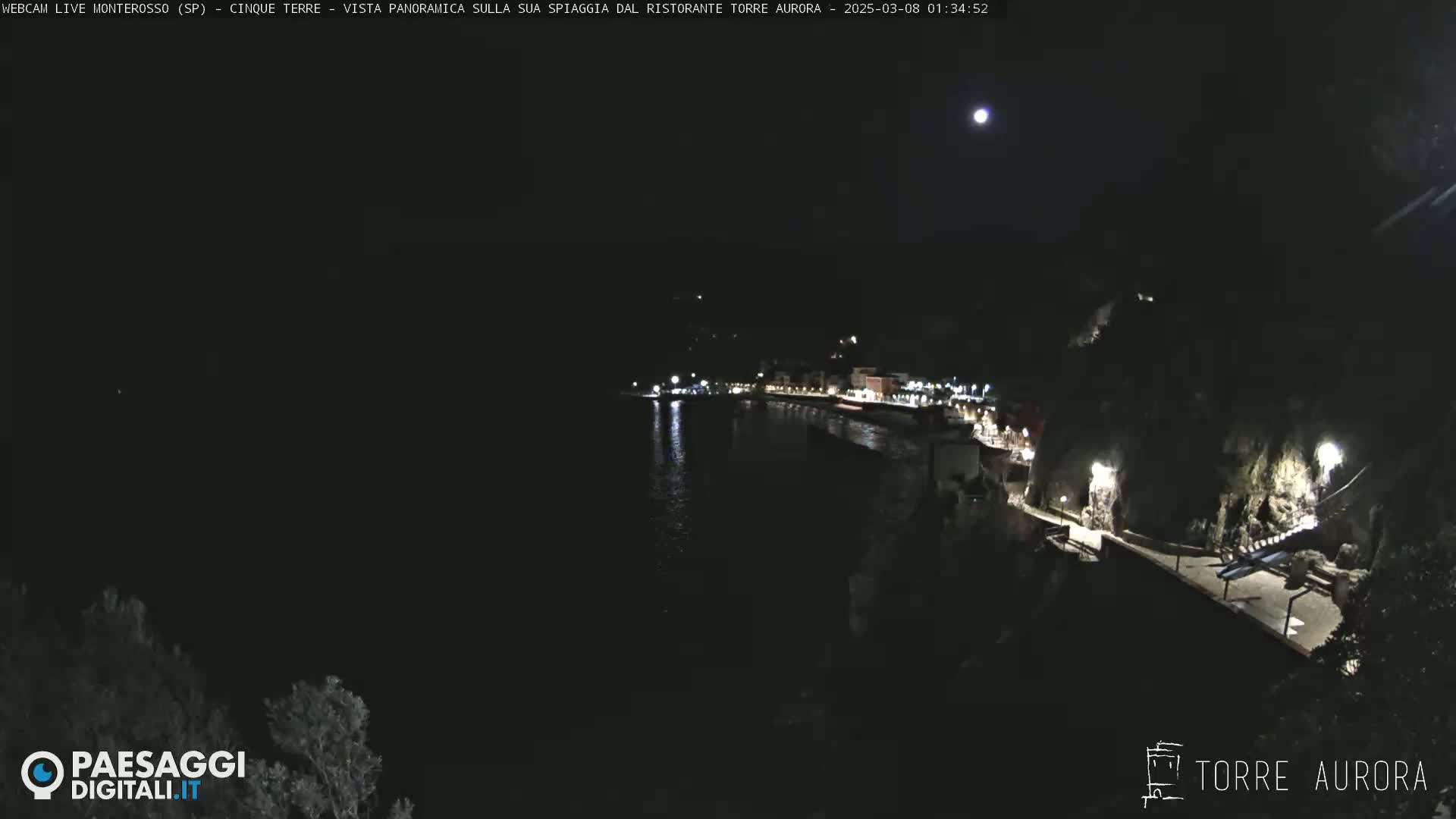 A nighttime, moonlit view of a coastal town with lights illuminating a waterfront and pathway along a cliffside.