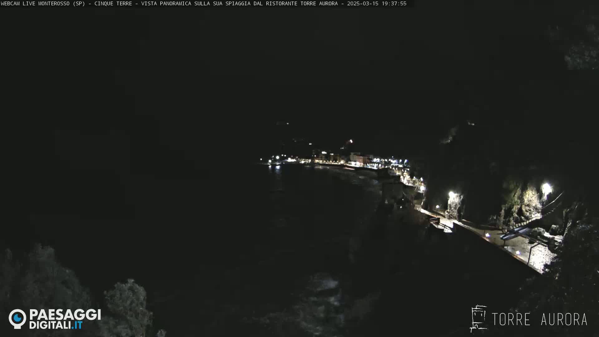 A nighttime, coastal scene shows a dark ocean with a dimly lit town along the shore.