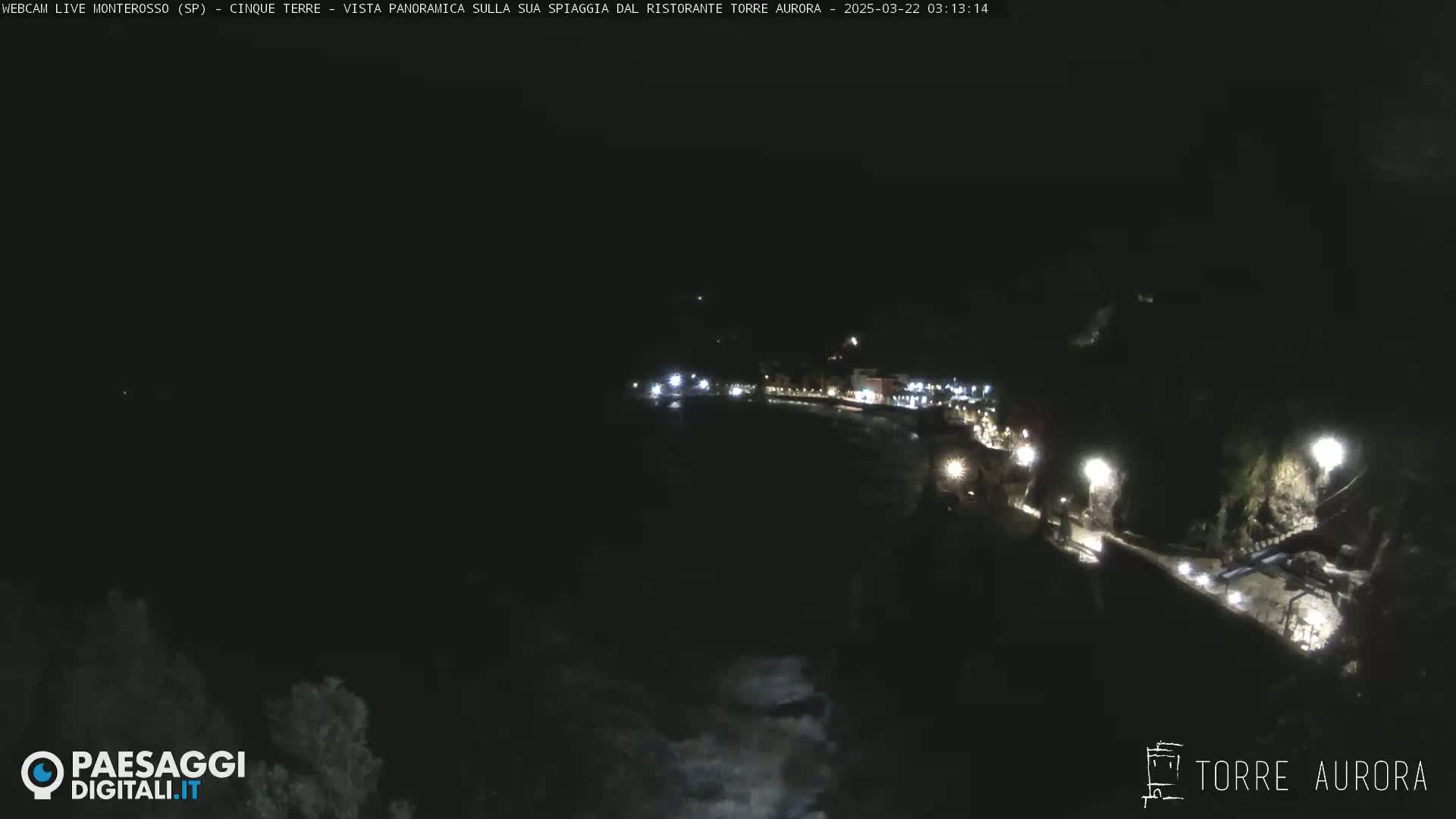 A nighttime, high-angle view of a dimly lit coastal town with a dark ocean.