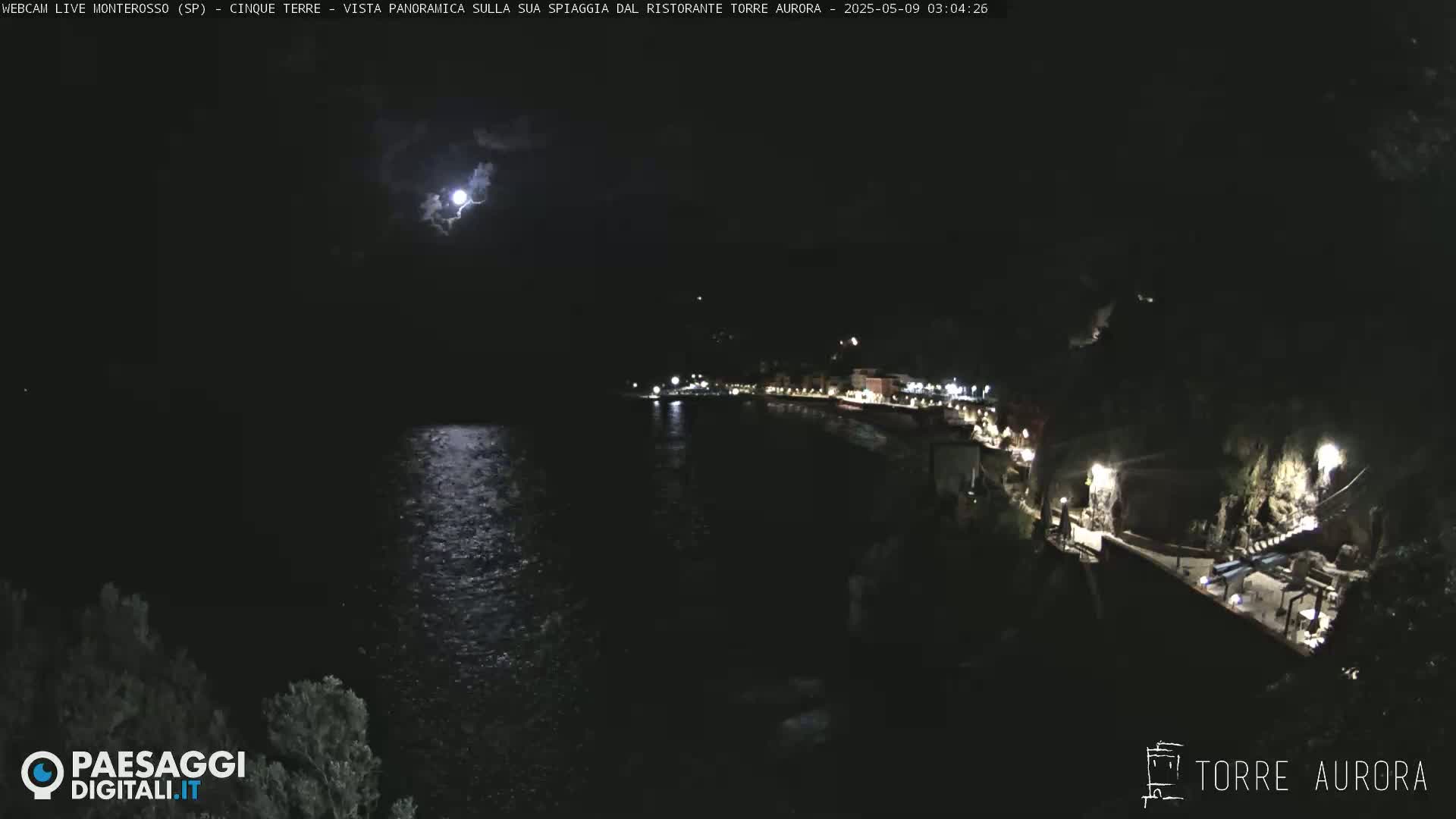 A nighttime coastal scene shows a moonlit body of water next to a dark shoreline with sparsely lit buildings, and a lightning strike in the distance.