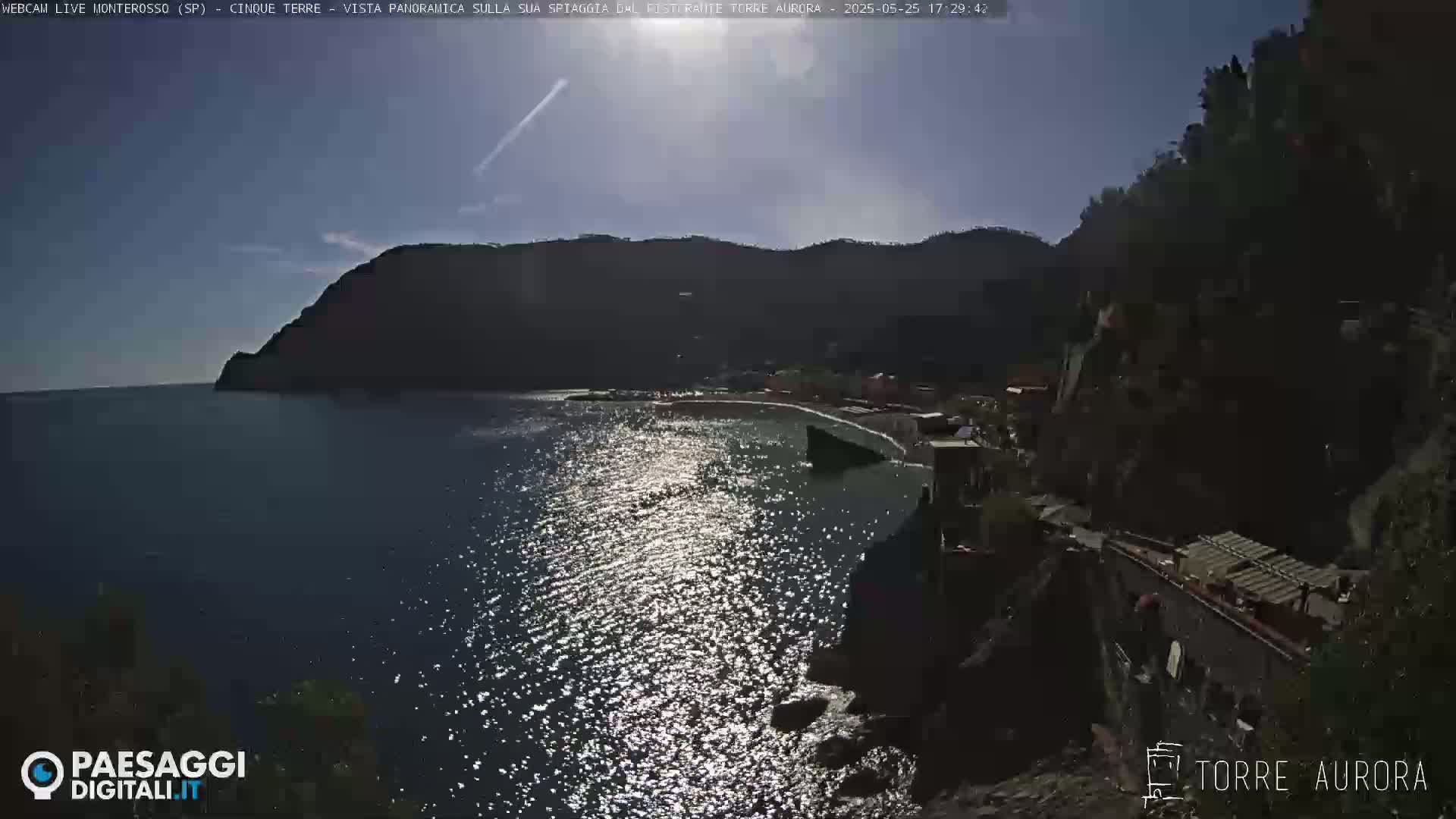 A sunny day overlooking a calm, sparkling ocean next to a hillside town.