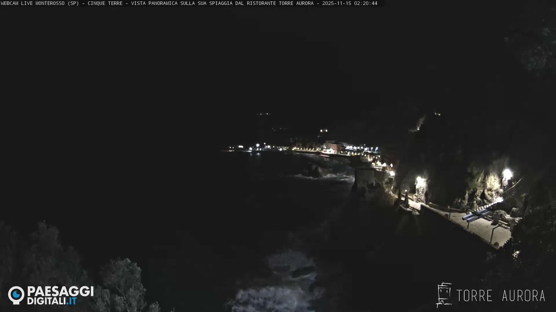A clear, dark night reveals a panoramic view of a lit-up coastal town with waves crashing against the shore.