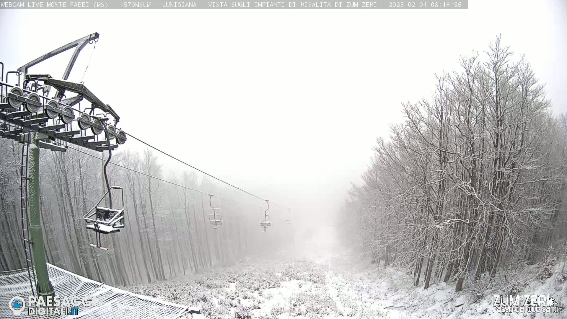 A snow-covered ski lift ascends through a snowy forest in hazy weather.