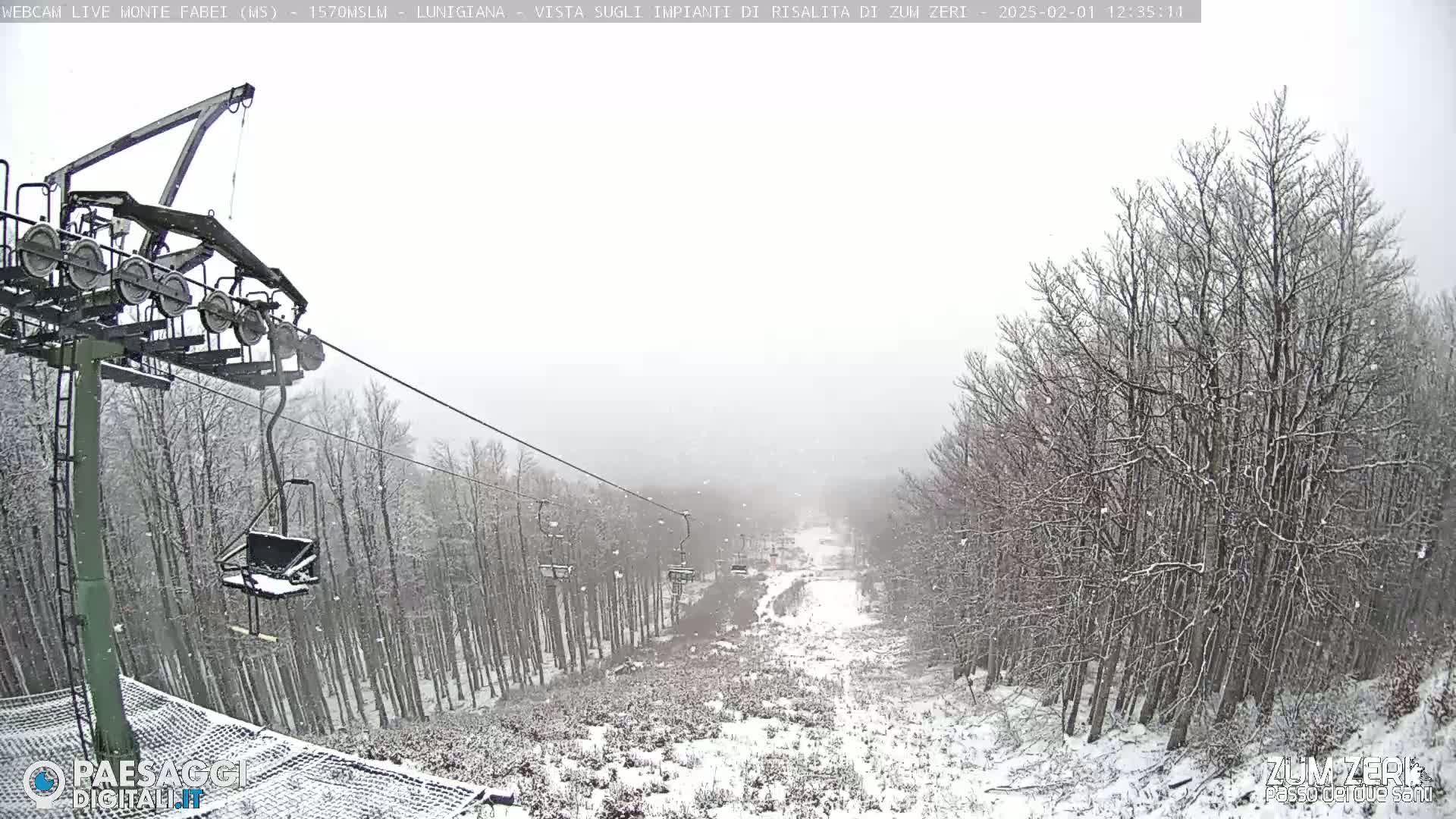 A chairlift ascends a snow-covered ski slope through a forest in snowy weather.