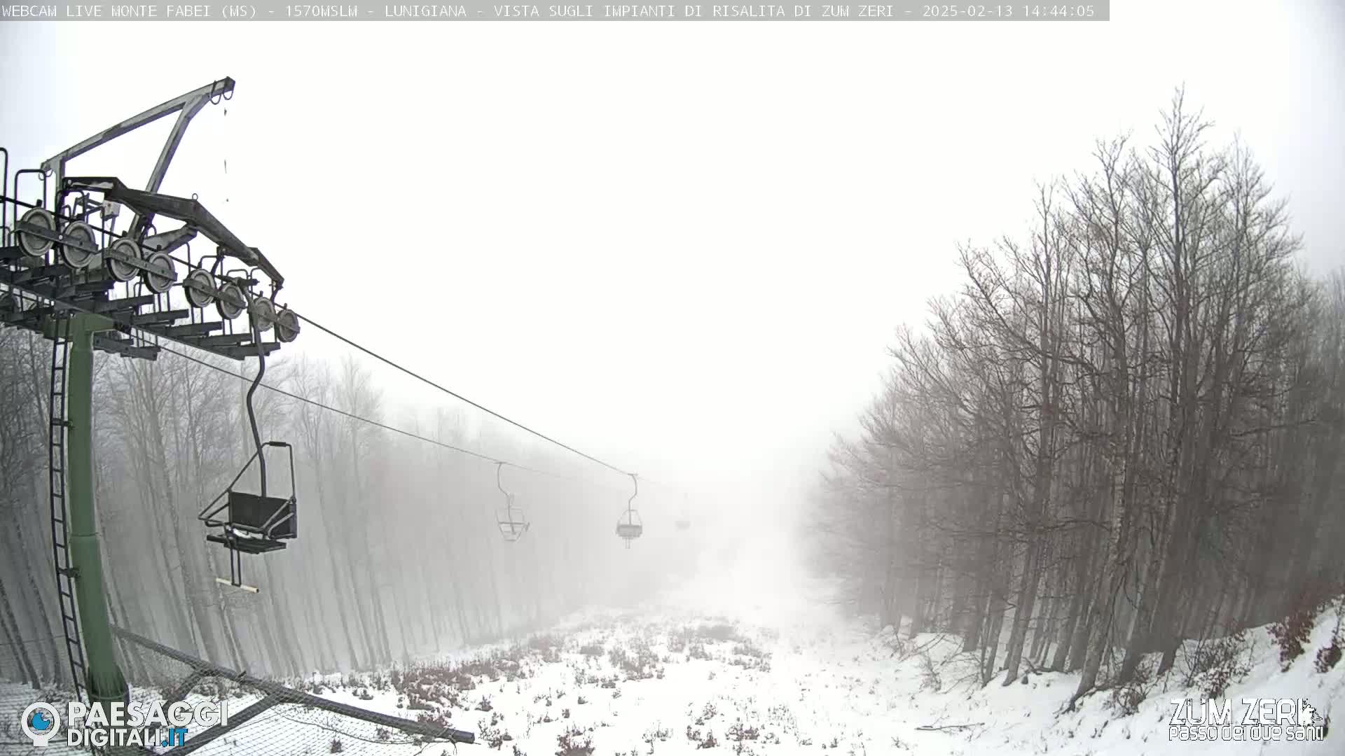 A chairlift ascends through a snow-covered forest in foggy conditions.