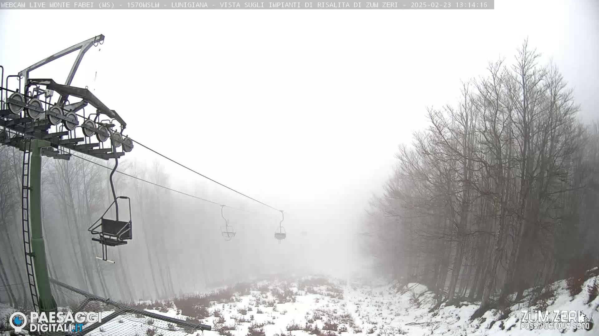A chairlift ascends through a foggy, snowy landscape of leafless trees.