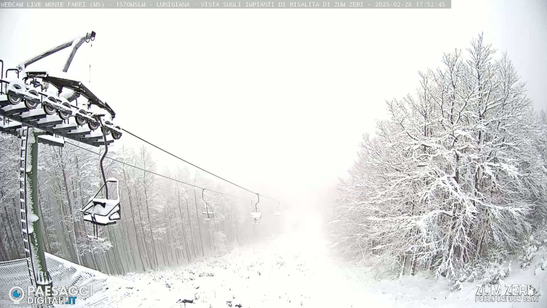 A snow-covered chairlift ascends through a snowy forest in overcast conditions.