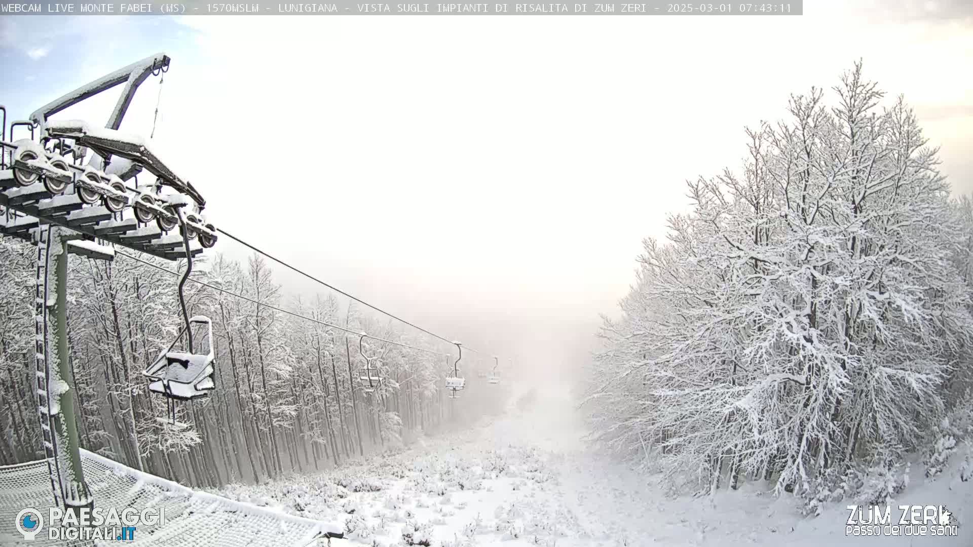 A snow-covered chairlift ascends through a snowy forest in foggy conditions.