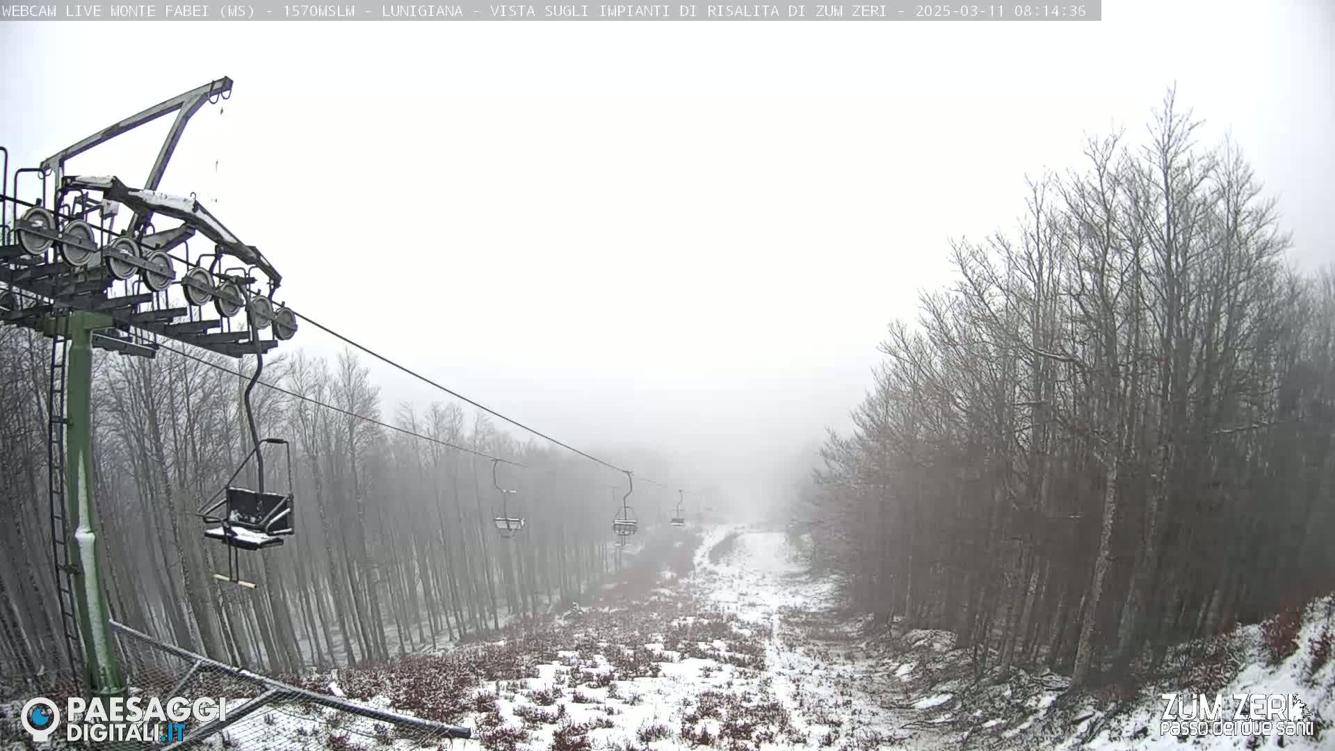 A chairlift ascends a snowy, foggy mountainside lined with leafless trees.