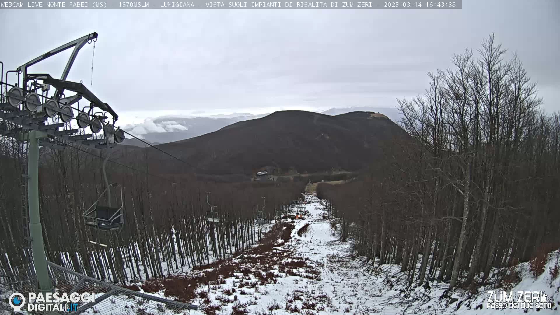 A snow-covered ski slope descends through a sparsely wooded mountainside under an overcast sky.
