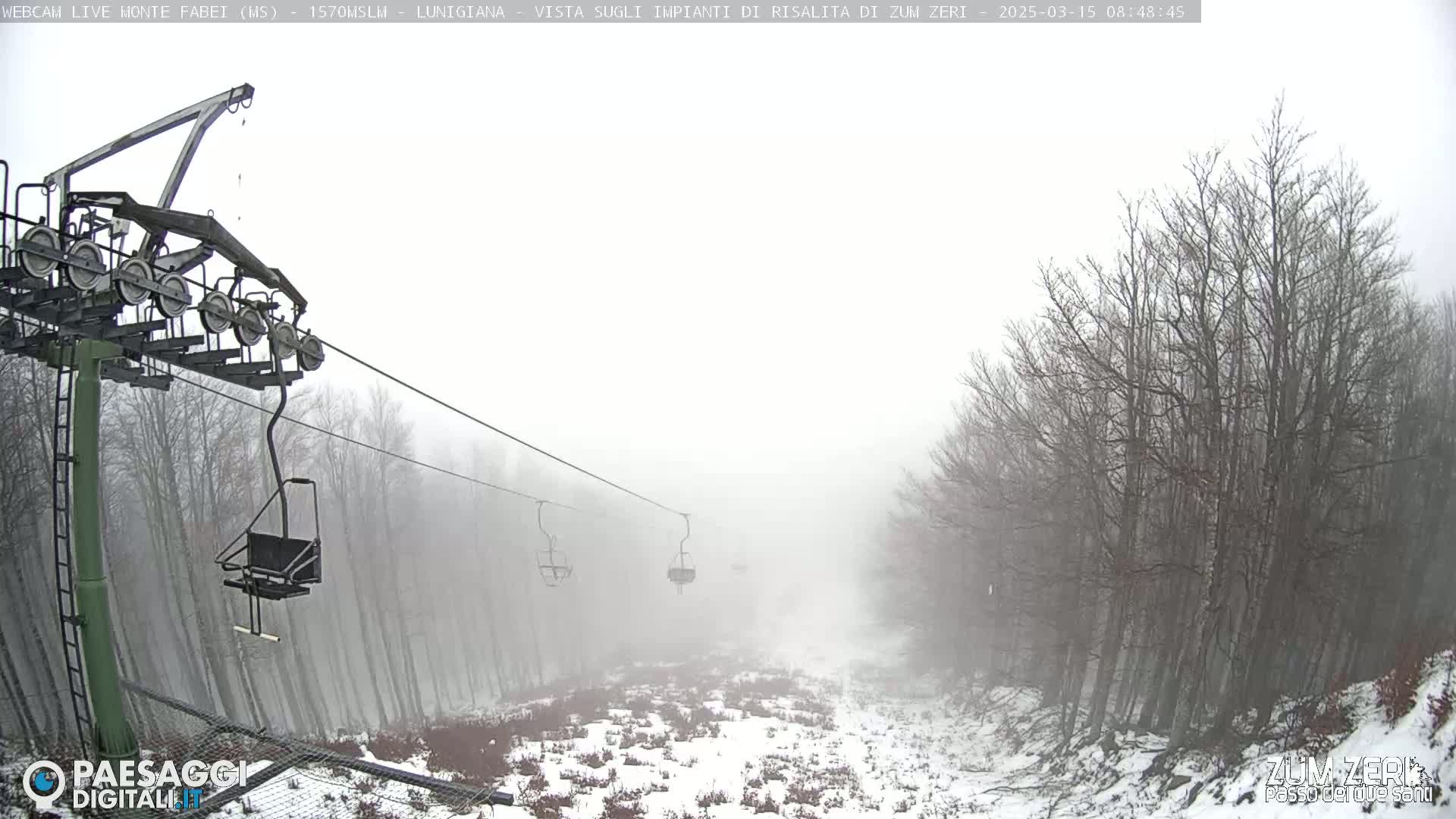 A chairlift ascends a snowy, foggy mountain slope lined with leafless trees.