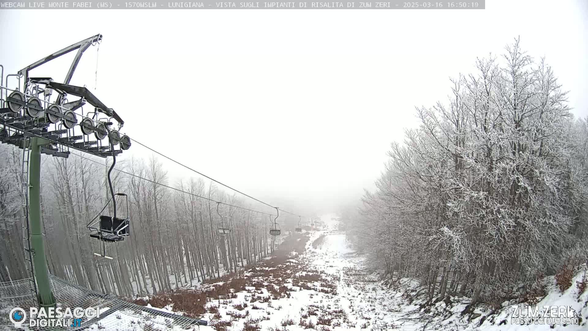 A chairlift ascends a snowy mountain slope shrouded in fog, passing through a sparsely vegetated area with snow-covered trees.