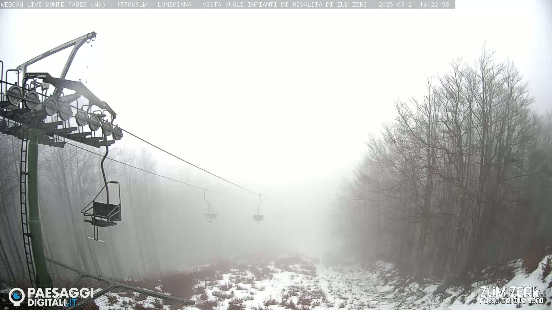 A foggy, snowy landscape with a chairlift and sparsely wooded hills.