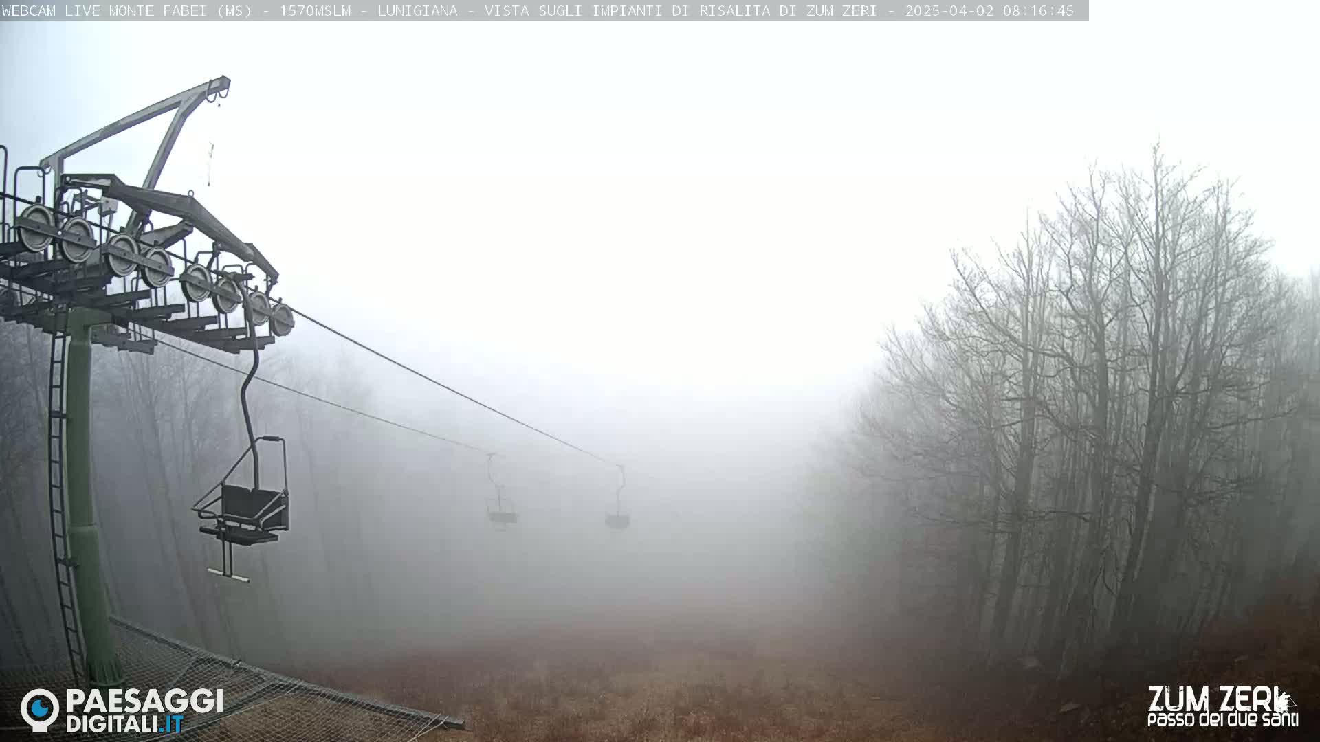 A chairlift ascends into a foggy landscape of bare trees.