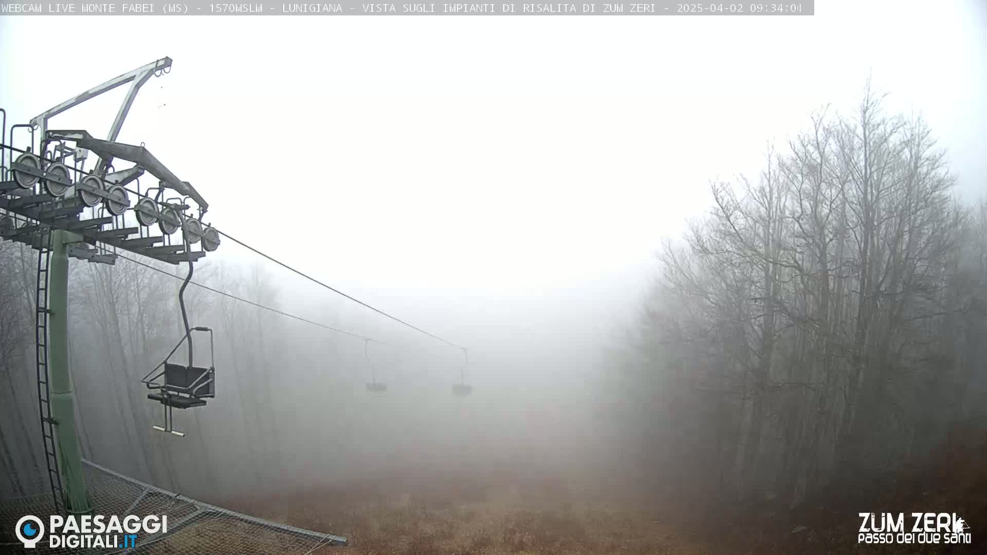 A chairlift extends into a foggy landscape of leafless trees and brown ground.