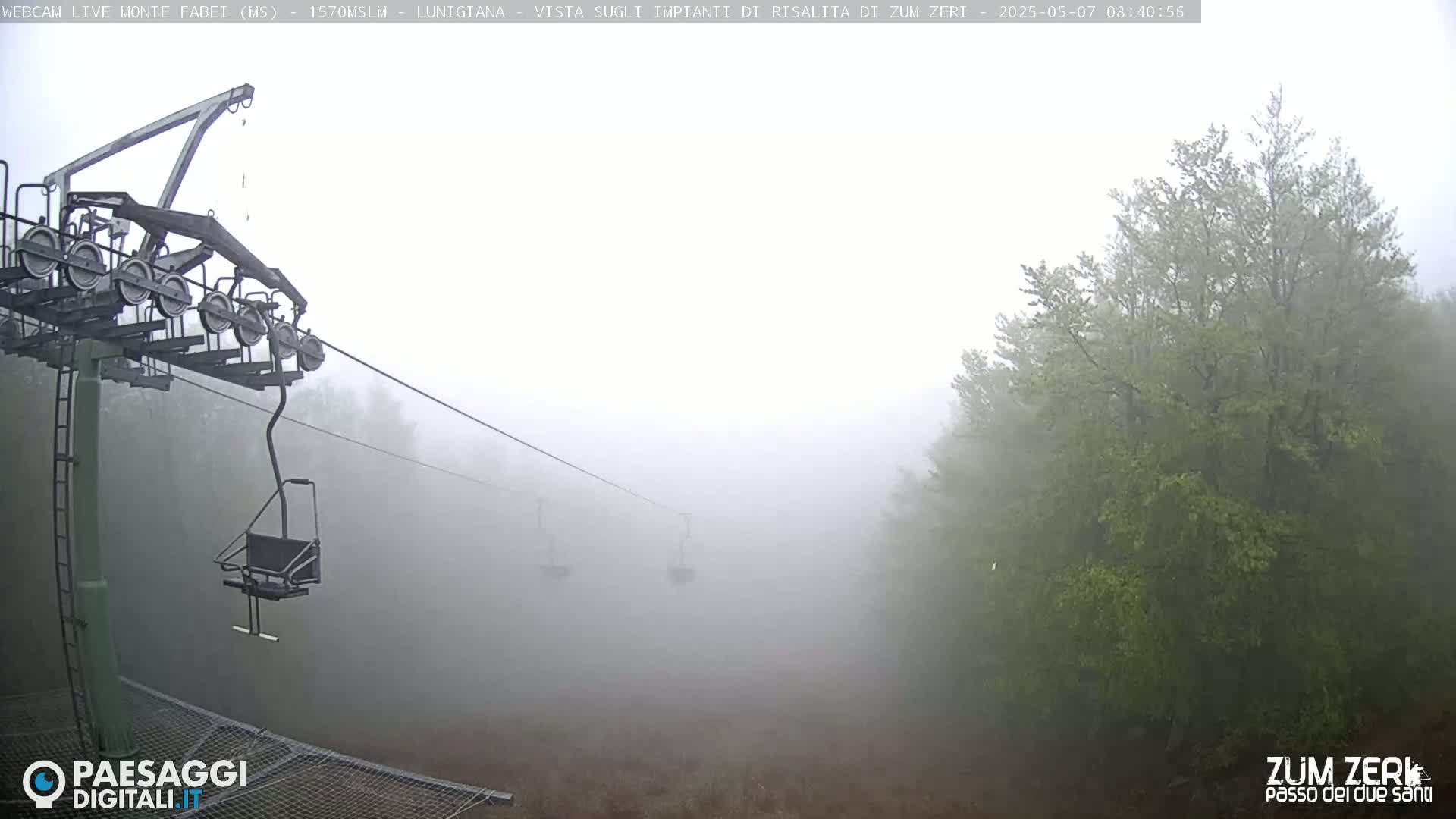 A chairlift ascends through a thick fog into a forest of green trees.