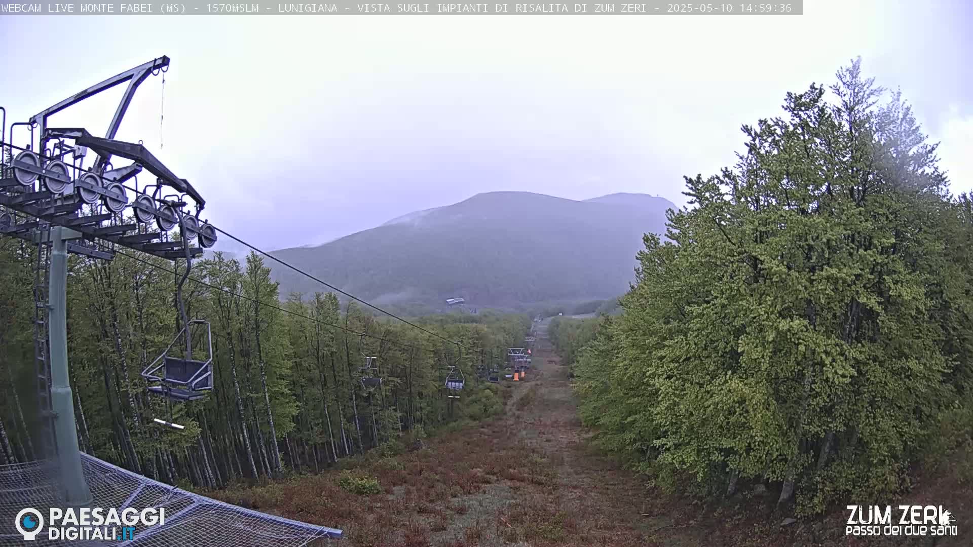 A chairlift ascends a mountainside through a forest on an overcast day.