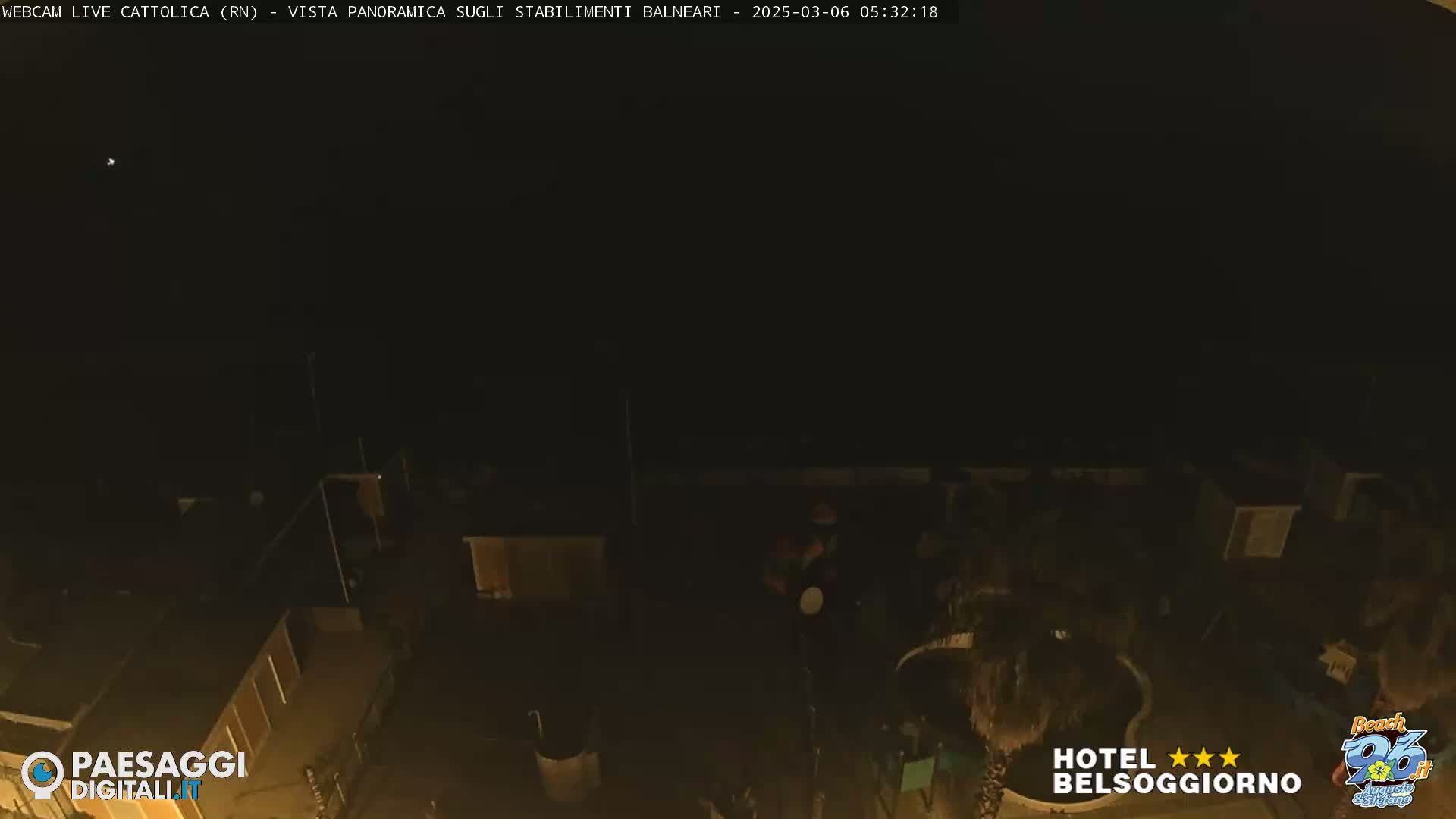 A nighttime, dark view of rooftops and low-lying vegetation.