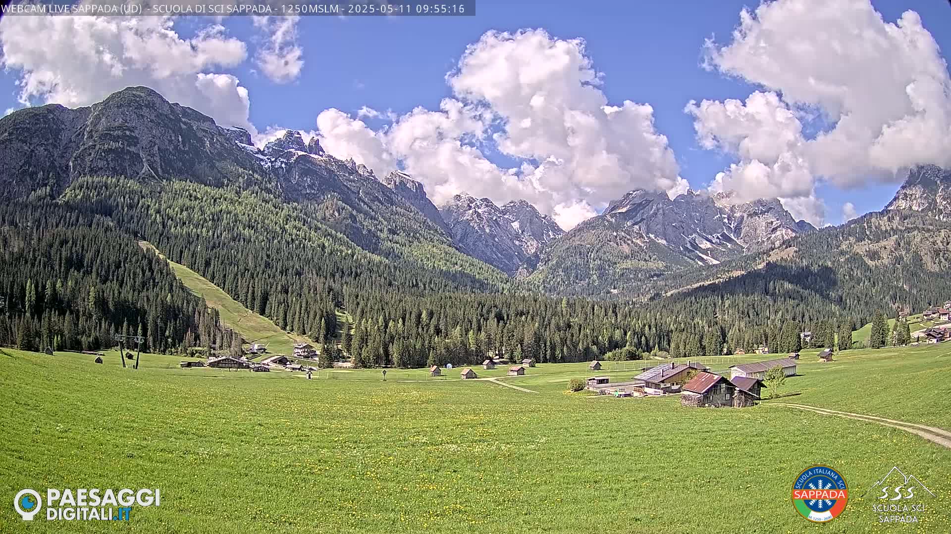 A picturesque valley with green fields, a few buildings, and a dense forest is nestled beneath snow-capped mountains under a partly cloudy sky.