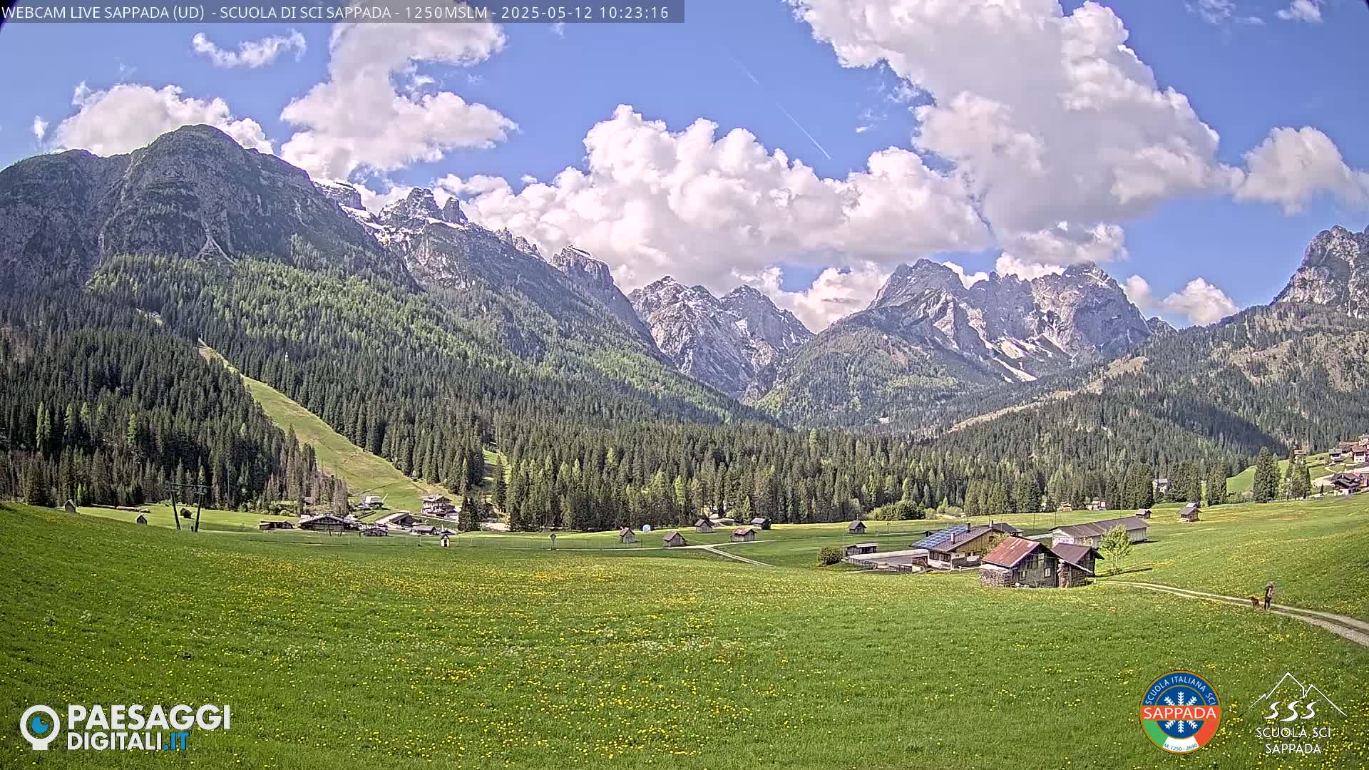 A partly cloudy day reveals a valley of green fields and dark evergreen forests nestled at the foot of snow-capped mountains.
