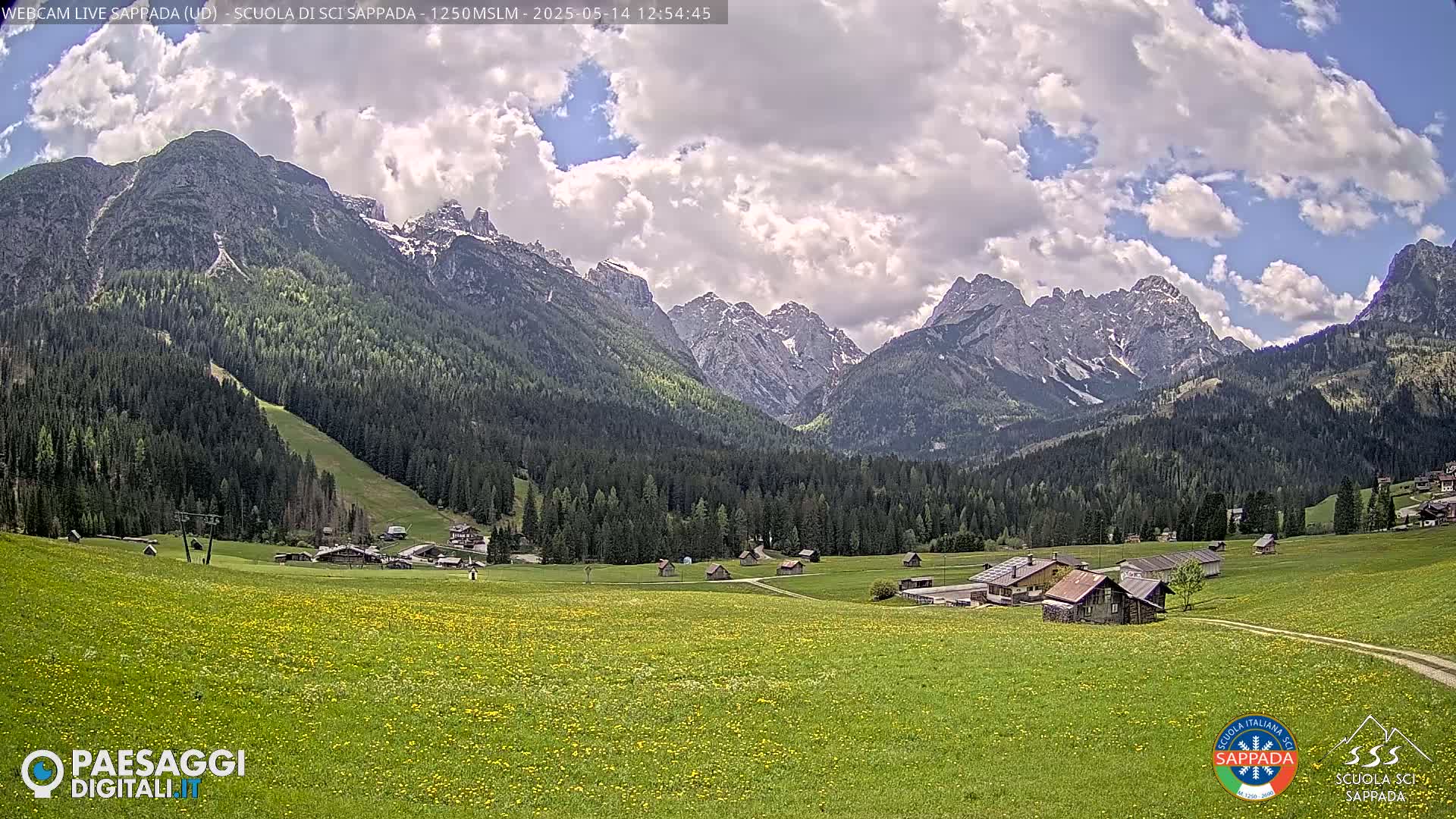 A partly cloudy day reveals a valley with a field of yellow wildflowers, several small buildings, a forest, and snow-capped mountains in the background.