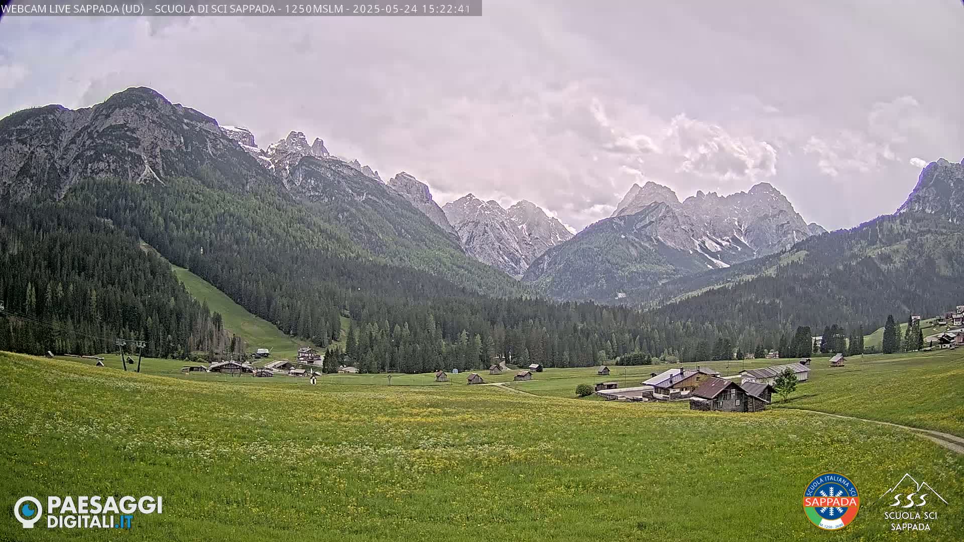 A valley with a few buildings and a large field of wildflowers is nestled beneath a mountain range with some snow on the peaks under an overcast sky.