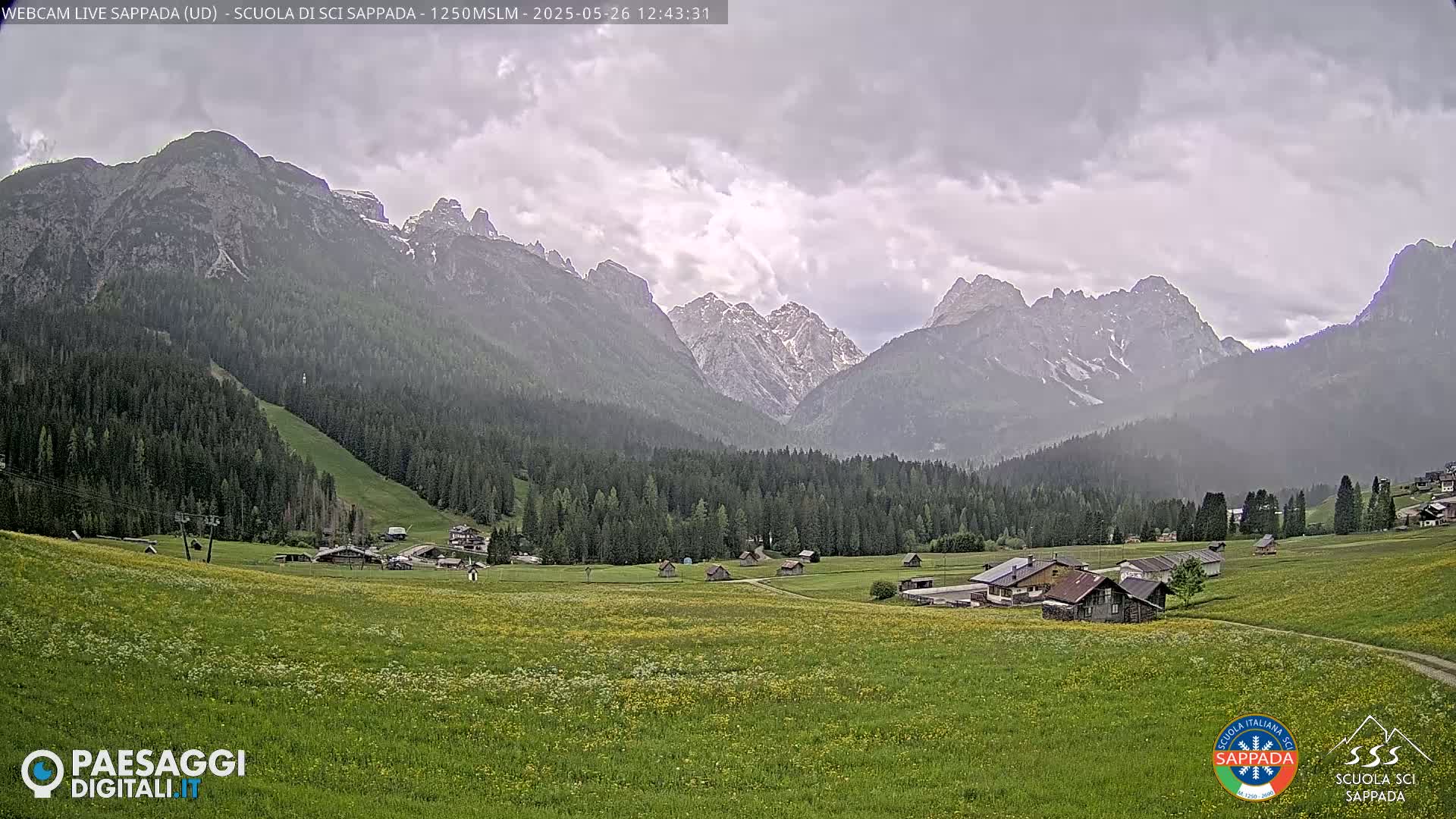 A valley dotted with small buildings and wildflowers stretches towards imposing, snow-capped mountains under a cloudy sky.