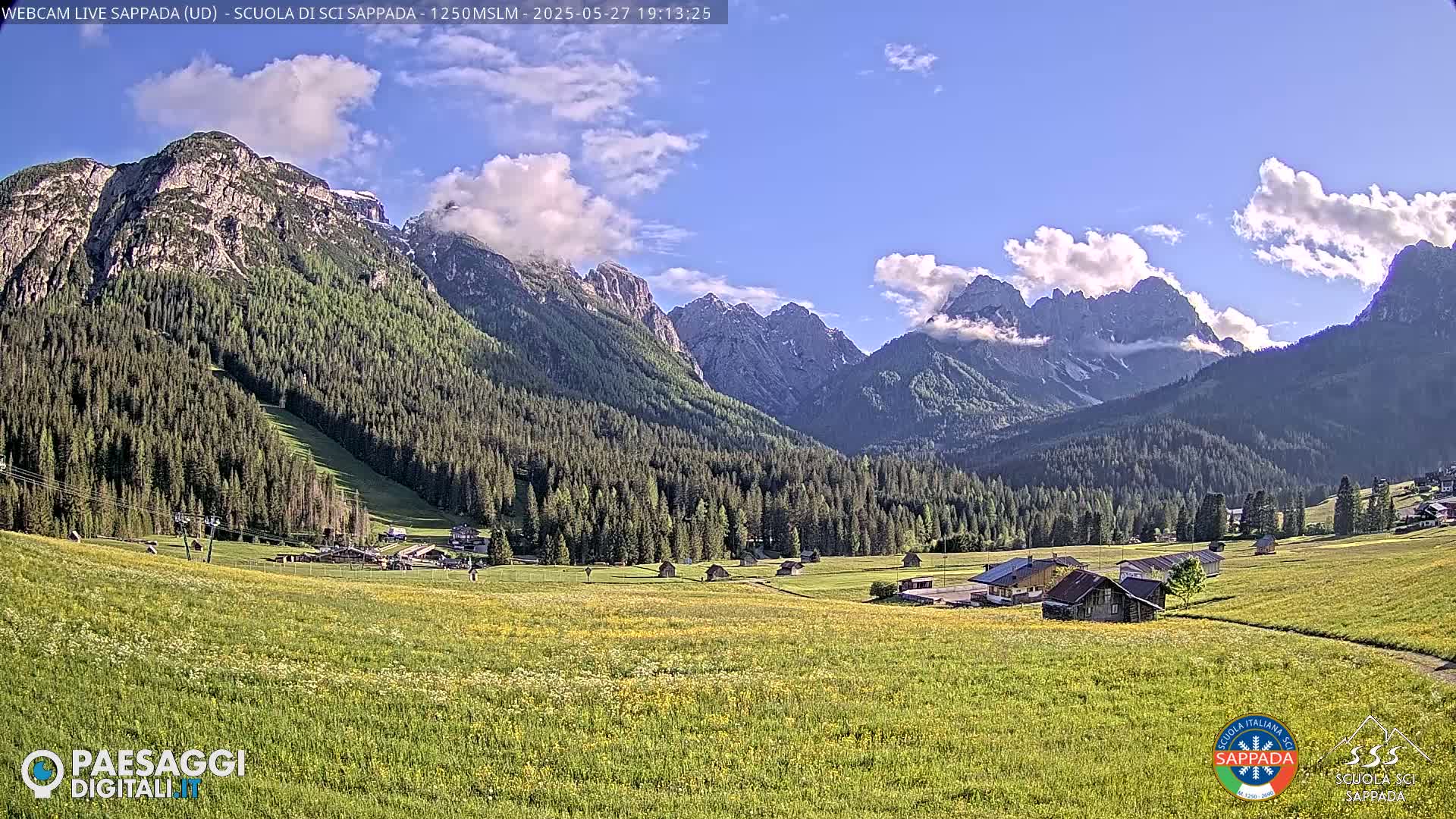 A sunny mountain valley with a field of wildflowers in the foreground, under a partly cloudy sky, is backed by a range of snow-capped mountains and a dark evergreen forest.