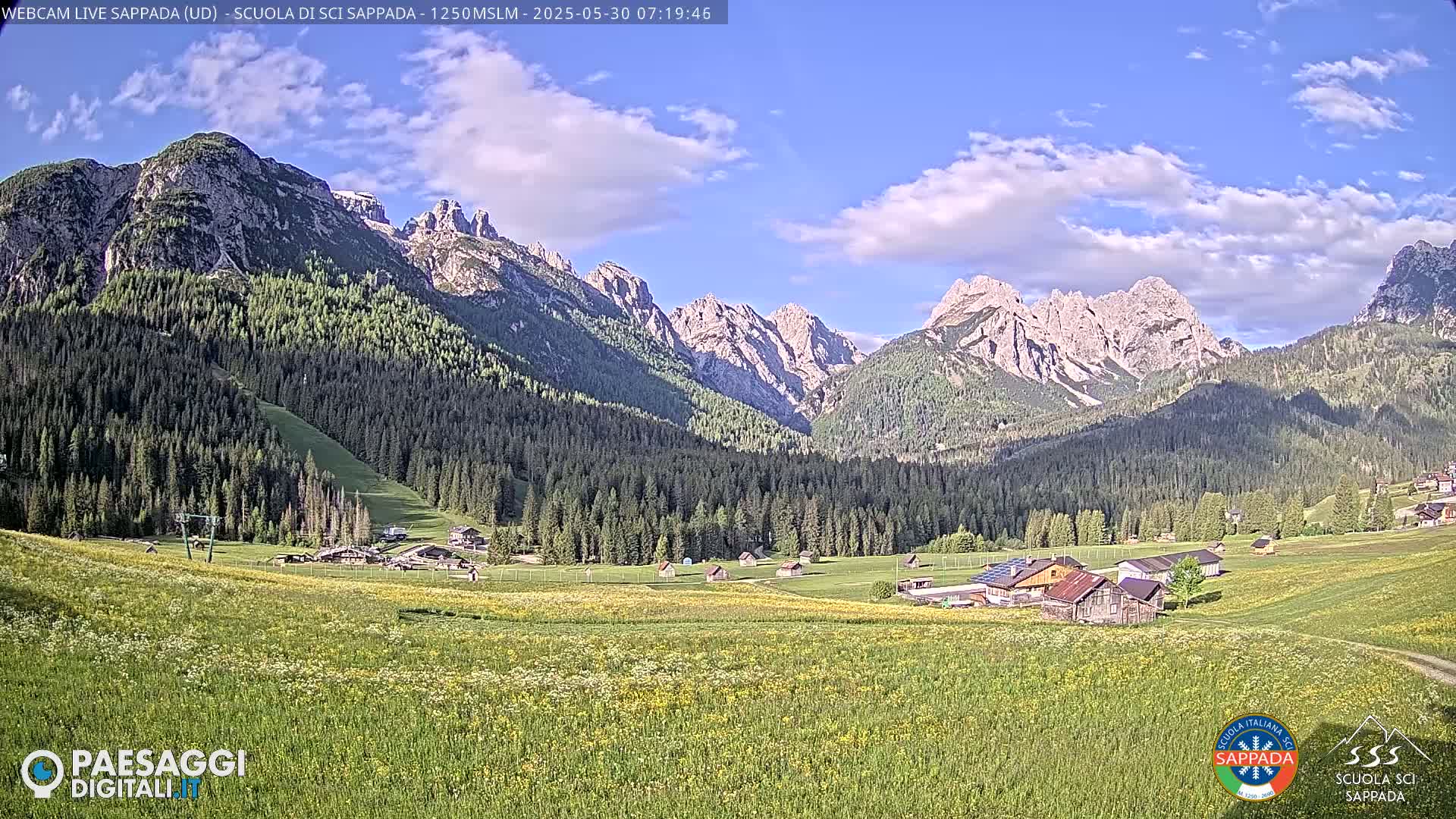 A sunny day with partly cloudy skies reveals a valley dotted with buildings and wildflowers, nestled against a backdrop of majestic, snow-capped mountains and a dark green forest.