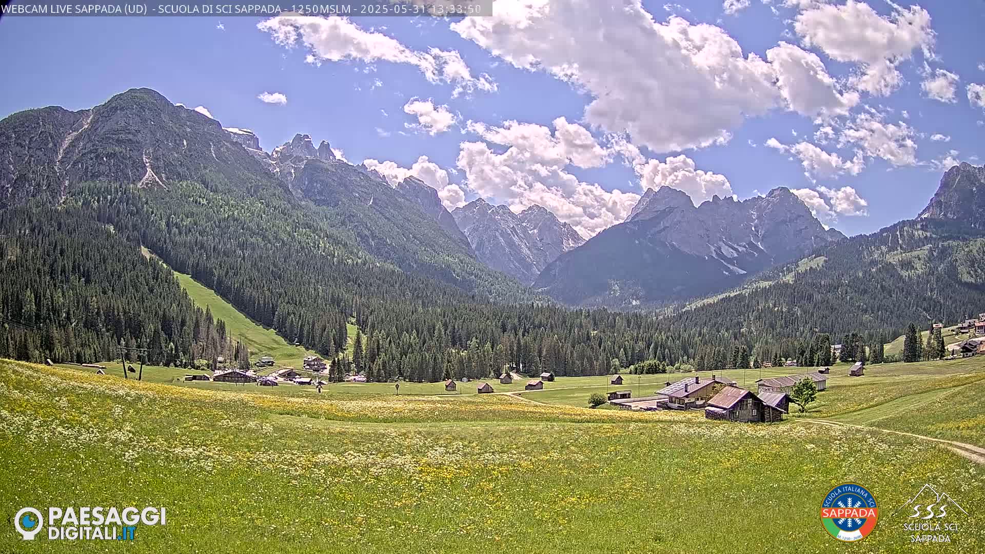 A sunny day with partly cloudy skies over a verdant valley dotted with small buildings, nestled between a vast forest and a majestic mountain range.