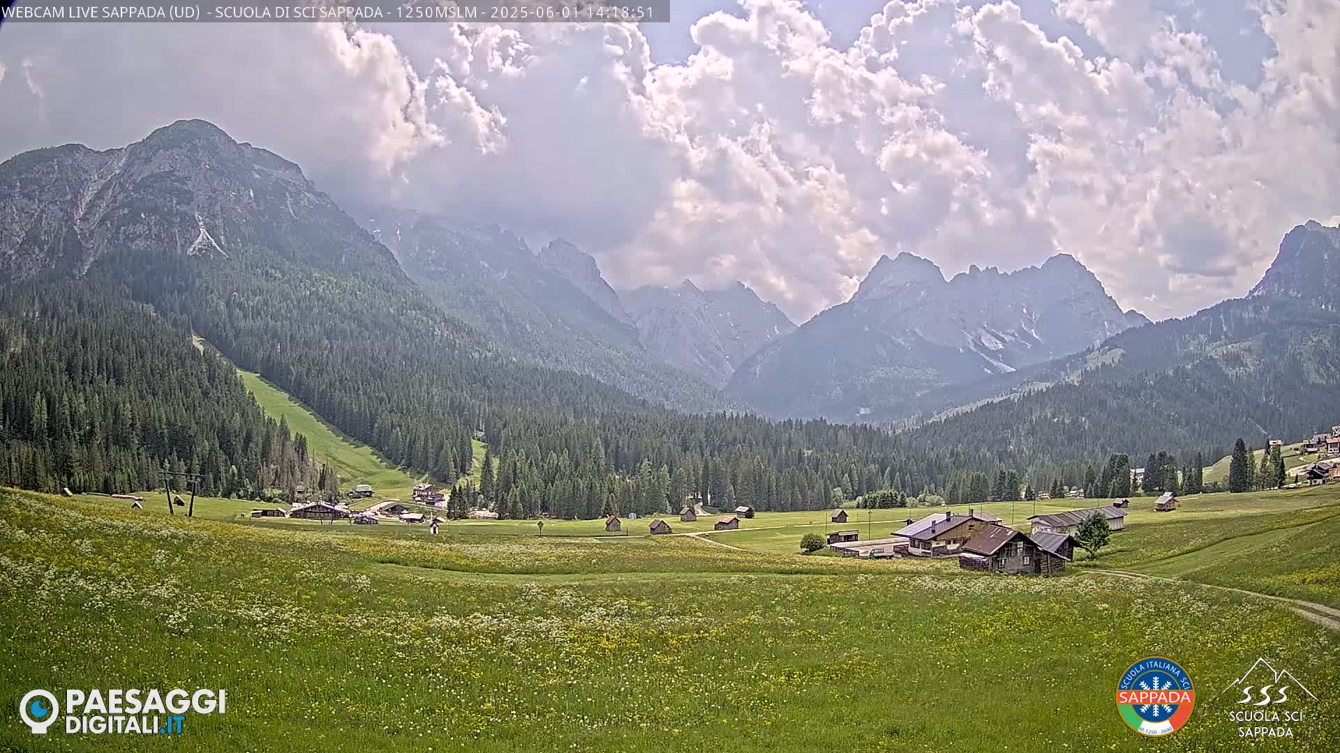 A partly cloudy day reveals a mountainous landscape with a valley of wildflowers and small buildings, nestled between verdant forests and towering peaks.