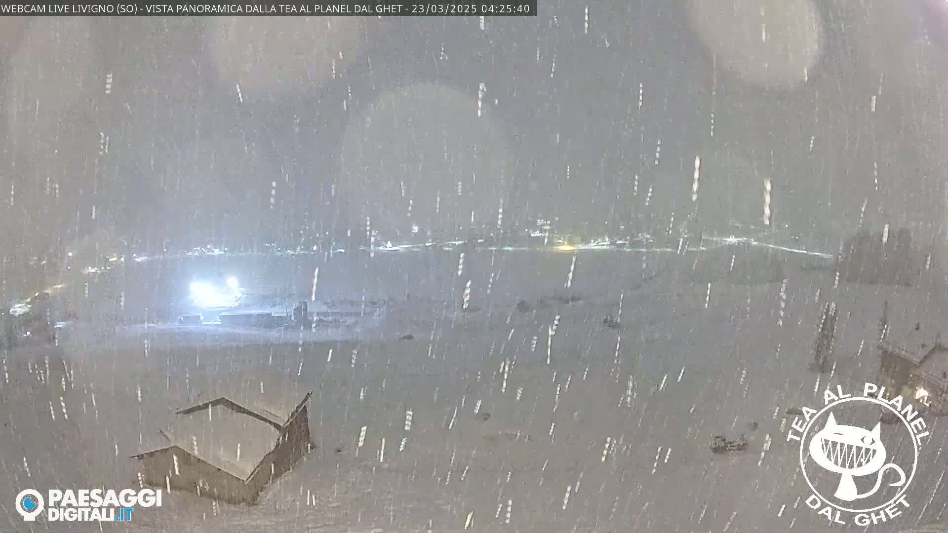 A snow-covered landscape is viewed from a distance, with falling snow obscuring the view of buildings and a town in the background.
