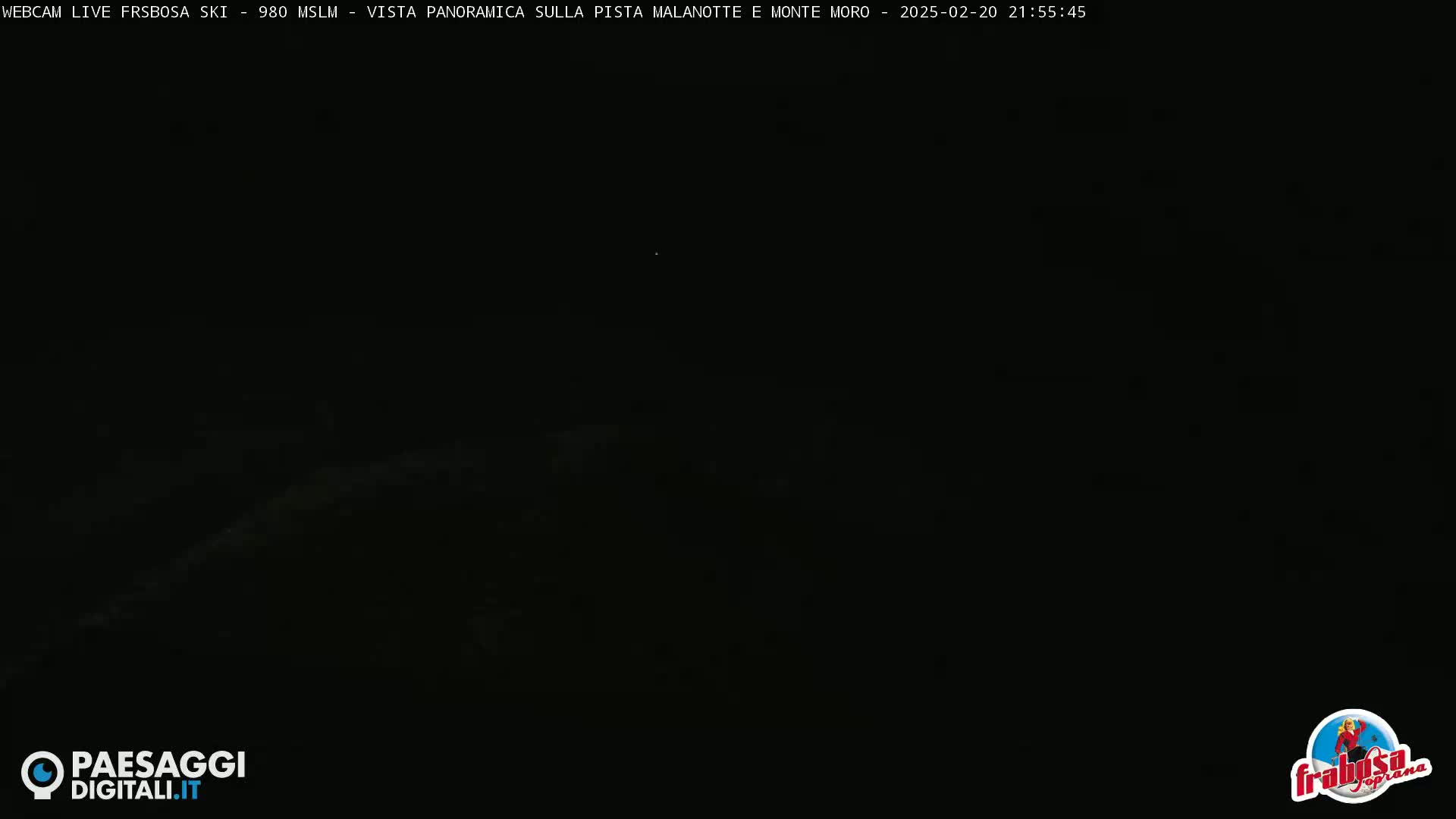 A very dark, nighttime view of a snowy landscape.