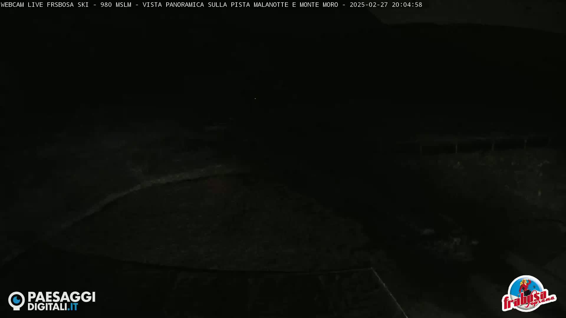 A dark, nighttime view of a snow-covered landscape.