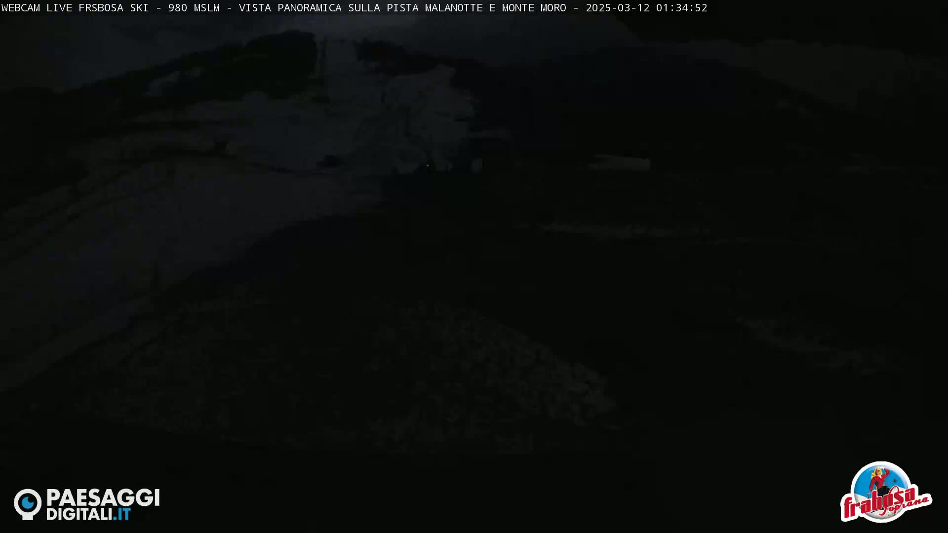 A dark, nighttime view of a snow-covered landscape.