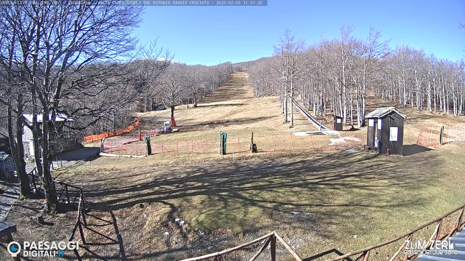 A sunny, snow-free ski slope in a forest of leafless trees, with small buildings and fencing visible.