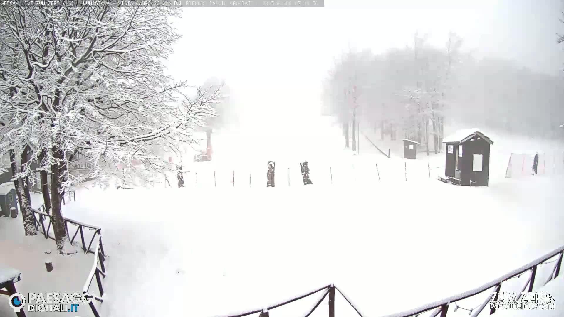 A snow-covered landscape with trees, a small building, and a fence is seen during a heavy snowfall.