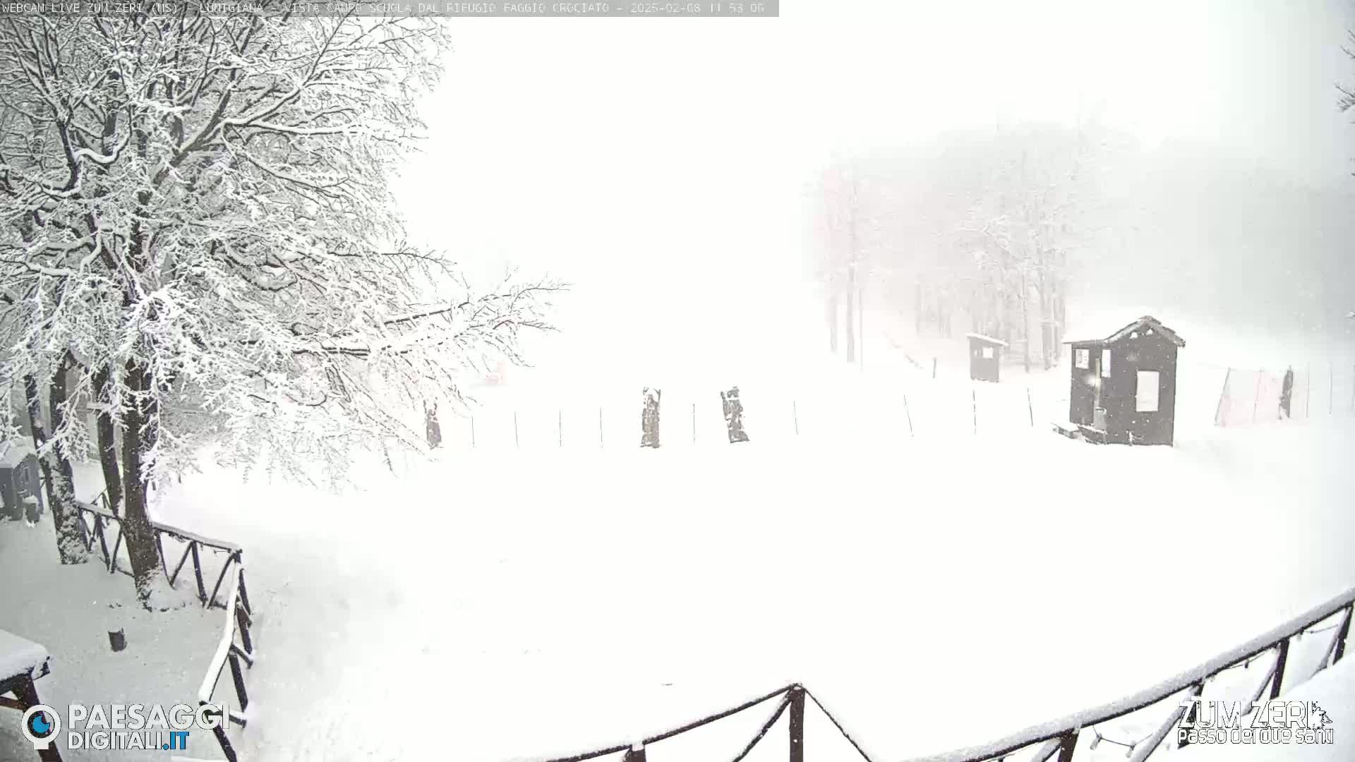 A snow-covered landscape with trees, a small building, and a fence is seen during a heavy snowfall.
